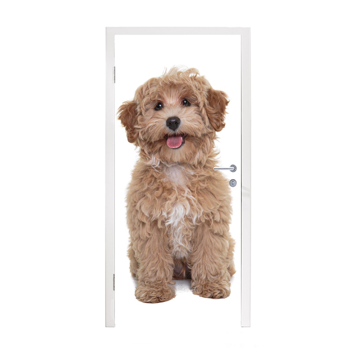 MuchoWow Türtapete Hund - Haustiere - Fell, Matt, bedruckt, (1 St), Fototapete für Tür, Türaufkleber, 75x205 cm