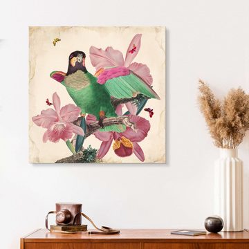 Posterlounge Alu-Dibond-Druck Mandy Reinmuth, Exotische Papageien VIII, Wohnzimmer Orientalisches Flair Malerei