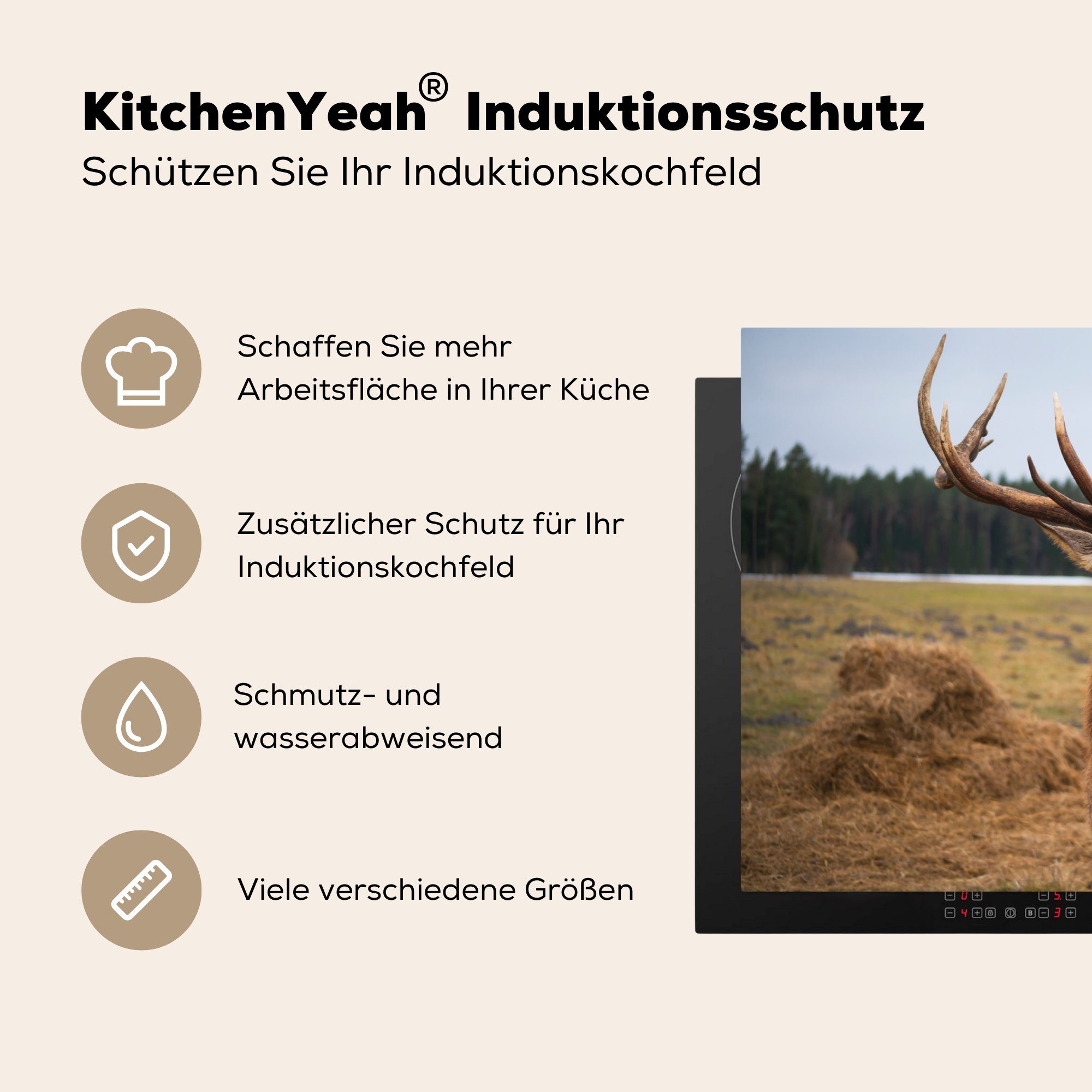 - Natur - (1 Herdblende-/Abdeckplatte Vinyl, MuchoWow cm, für tlg), Schutz Ceranfeldabdeckung Rotwild Wiese, Induktionskochfeld die 81x52 küche,