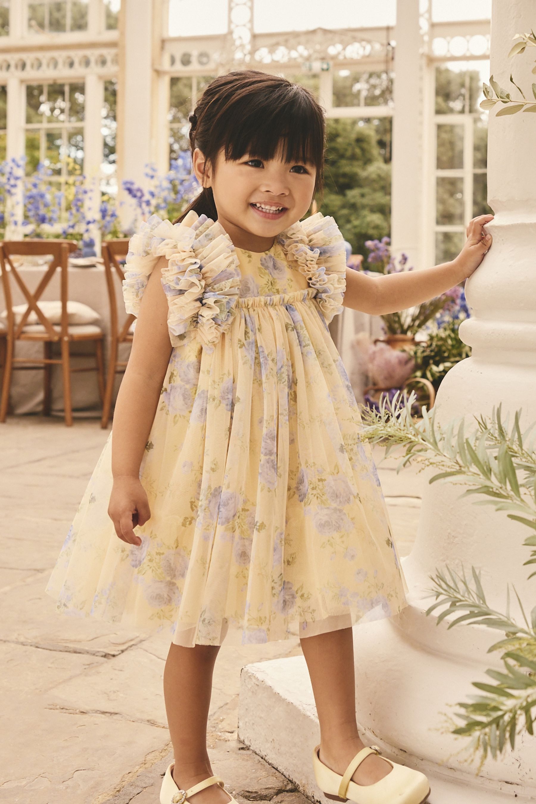 Next Tüllkleid Kleid mit Rüschenschultern und Mesh (1-tlg)