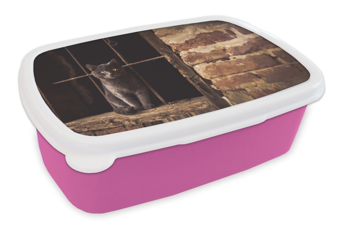 MuchoWow Lunchbox Katze - Ziegel - Mauer, Kunststoff, (2-tlg), Brotbox für Erwachsene, Brotdose Kinder, Snackbox, Mädchen, Kunststoff rosa