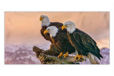 MuchoWow Balkonsichtschutz Vögel - Natur - Raubvögel - Adler (1-St) Balkonbespannung mit Metalösen, UV-beständig, Balkonbanner