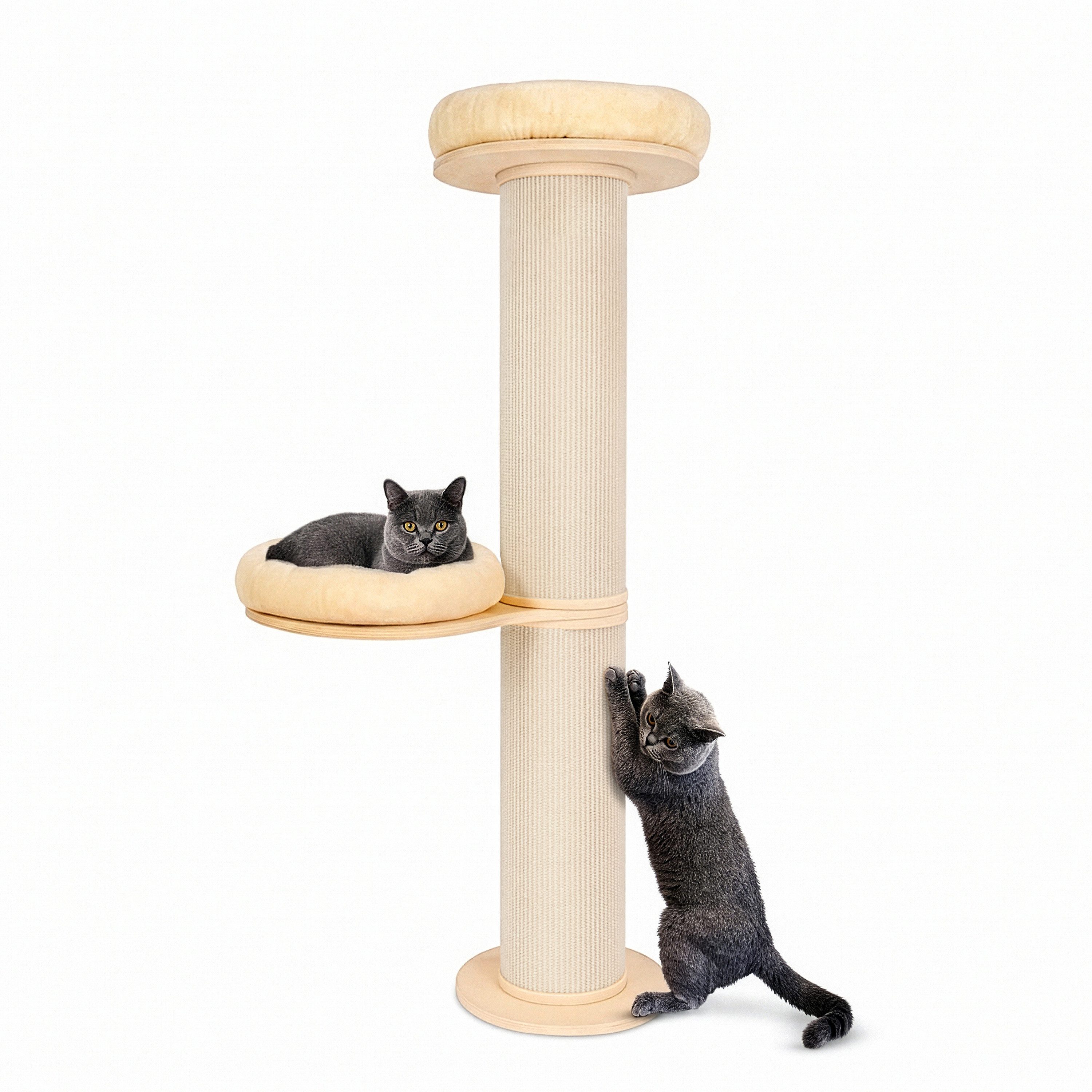 PET VIOLET Kratzbaum wandmontiert 185 cm hoch, XXL Katzenbaum I Premium Sisal Säulen, Kissen abnehmbar & waschbar, Premium Sisal, M Katzenbaum 126 cm hoch