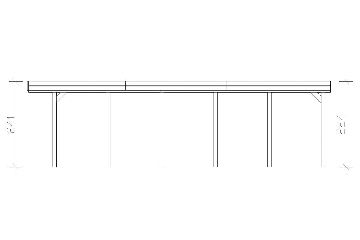 Skanholz Einzelcarport BxT: Einfahrtshöhe Friesland, 397x860 cm 221 cm, dunkelgrau