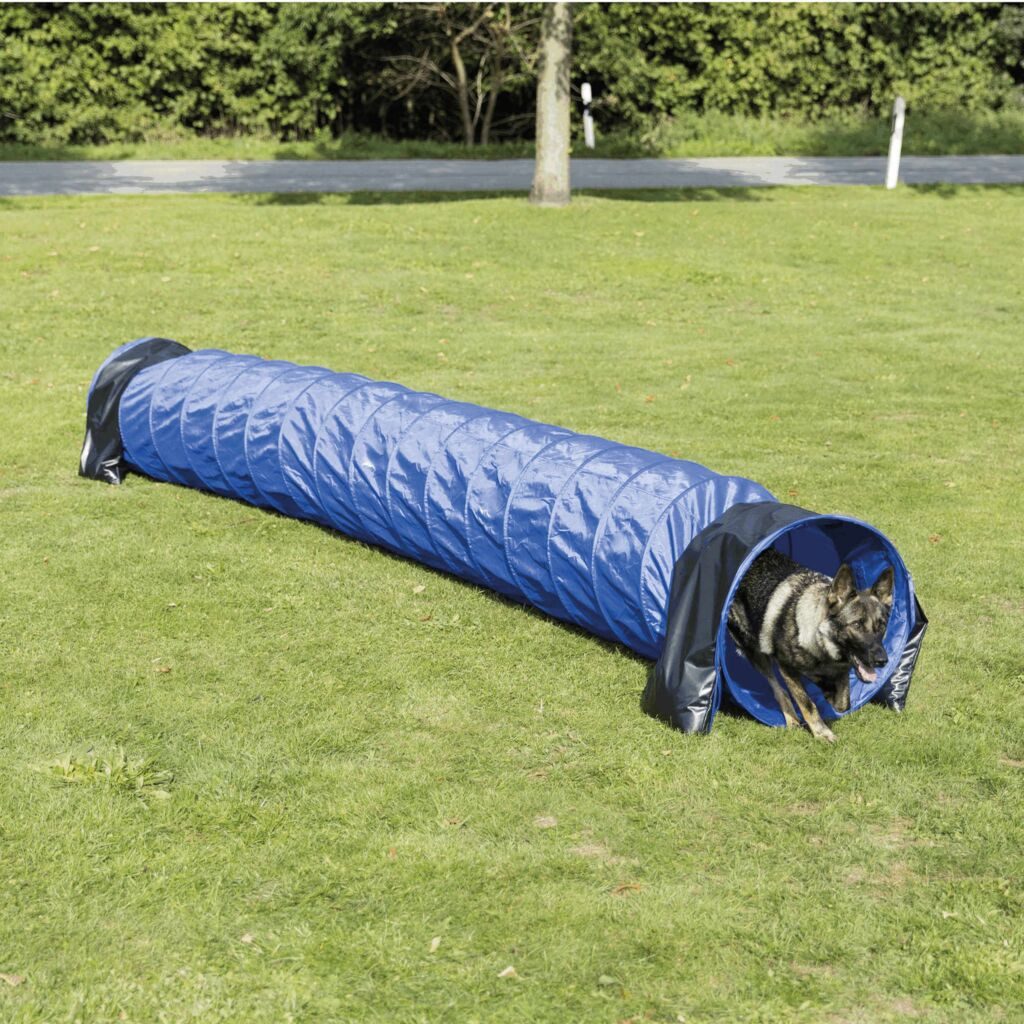 TRIXIE Agility-Tunnel Fun Agility Basic Tunnel - blau - ø 60 cm/5 m, Kunststoff