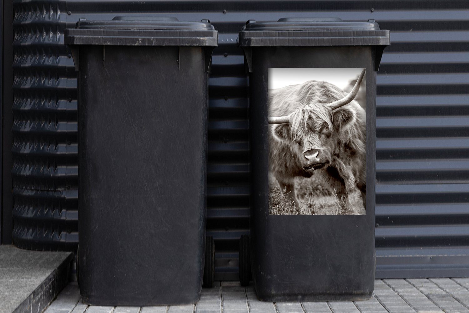 MuchoWow Wandsticker Container, Mülltonne, (1 - - Abfalbehälter Sticker, Highlander Schottischer Mülleimer-aufkleber, St), Weiß Schwarz - Hörner