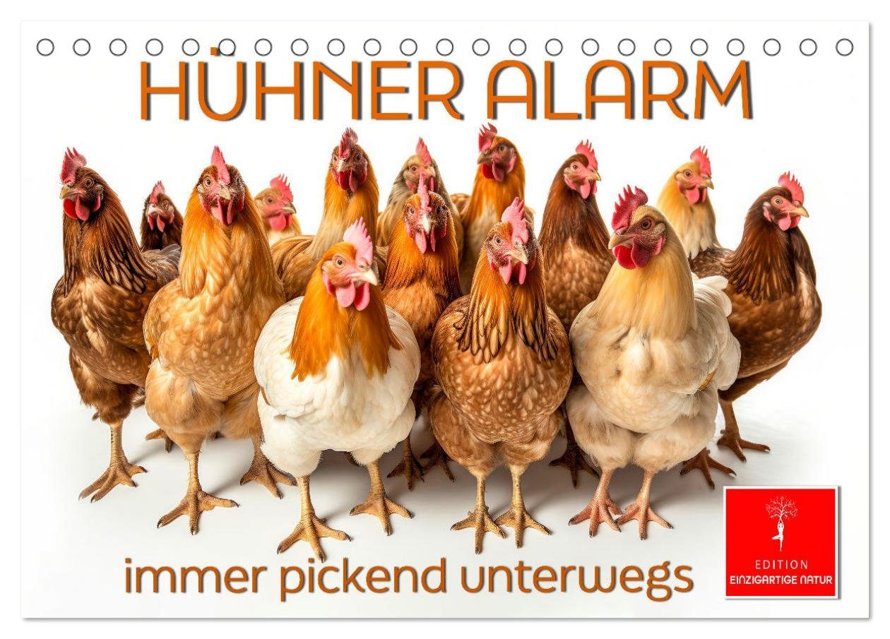 CALVENDO Wandkalender Hühner Alarm (Tischkalender 2025 DIN A5 quer), CALVENDO Monatskalender