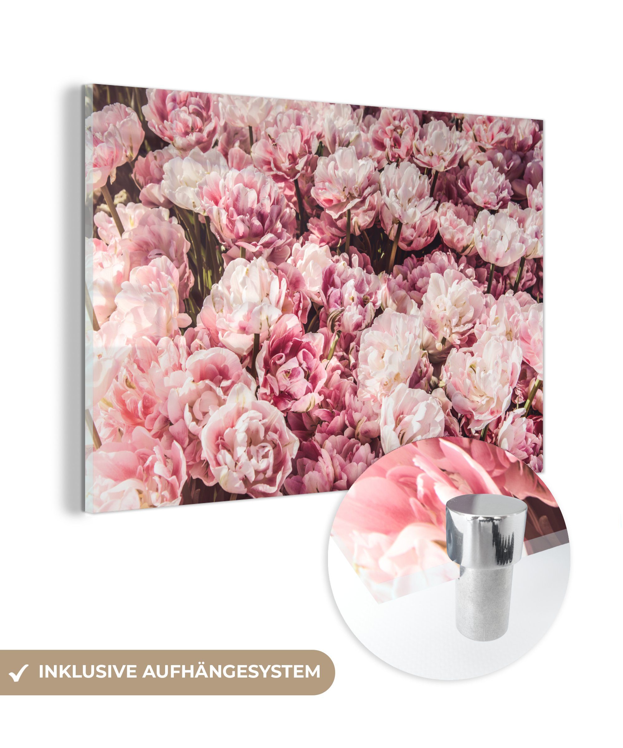 - Acrylglasbilder Blumen St), Natur Rosa, - MuchoWow (1 & Acrylglasbild Wohnzimmer Schlafzimmer