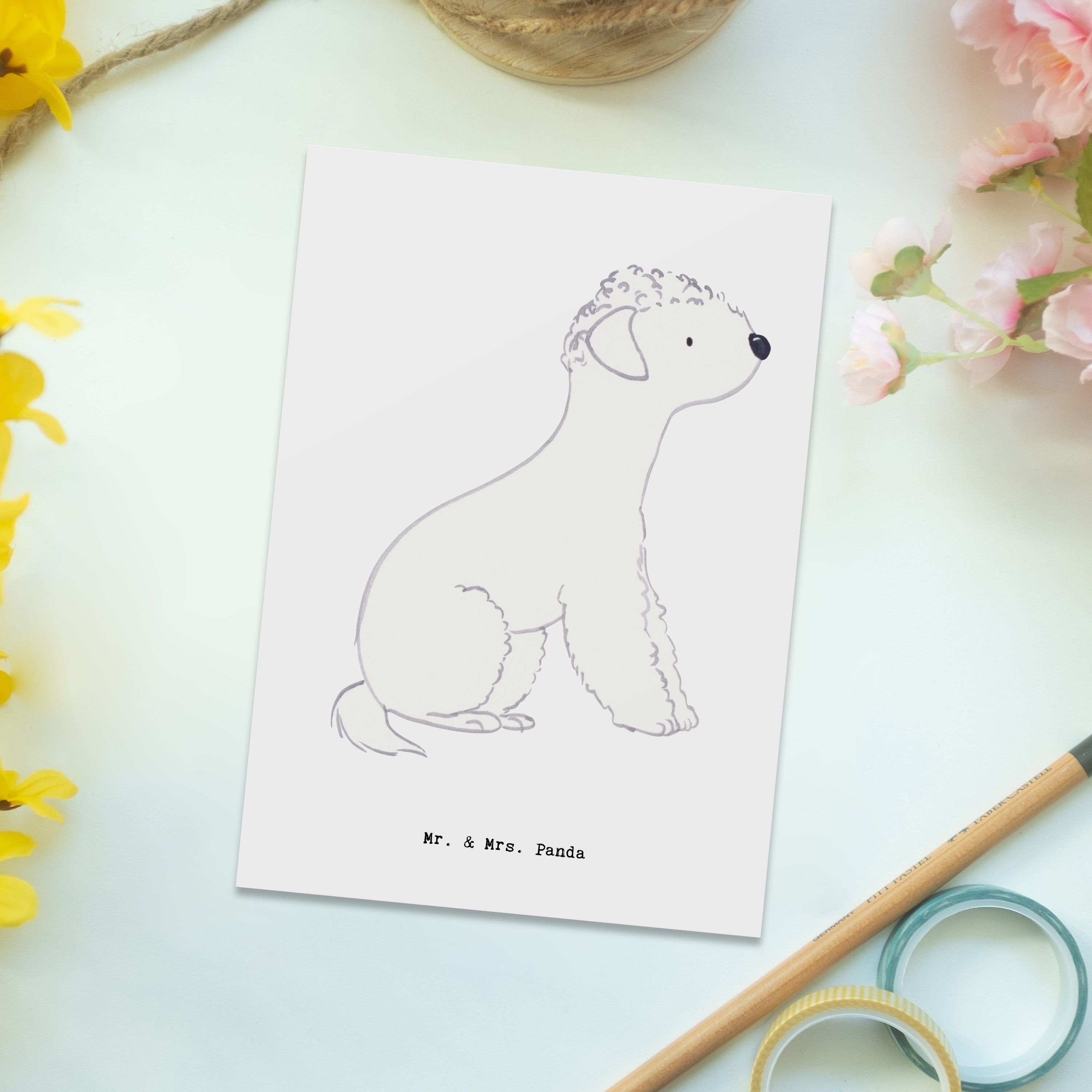 Mrs. Bedlington Terrier - Panda Lebensretter - Postkarte Weiß Geschenk, Karte, Einladung & Mr.