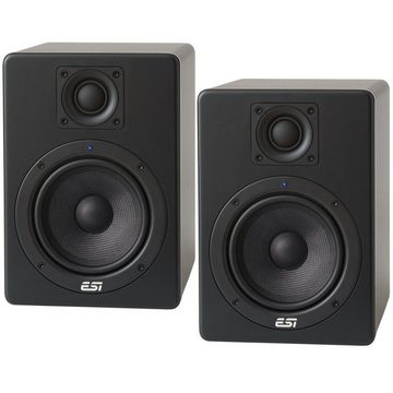 ESI -Audiotechnik Aktiv 05 2 PC-Lautsprecher (1 Paar, 120 W, mit Boxenständern)