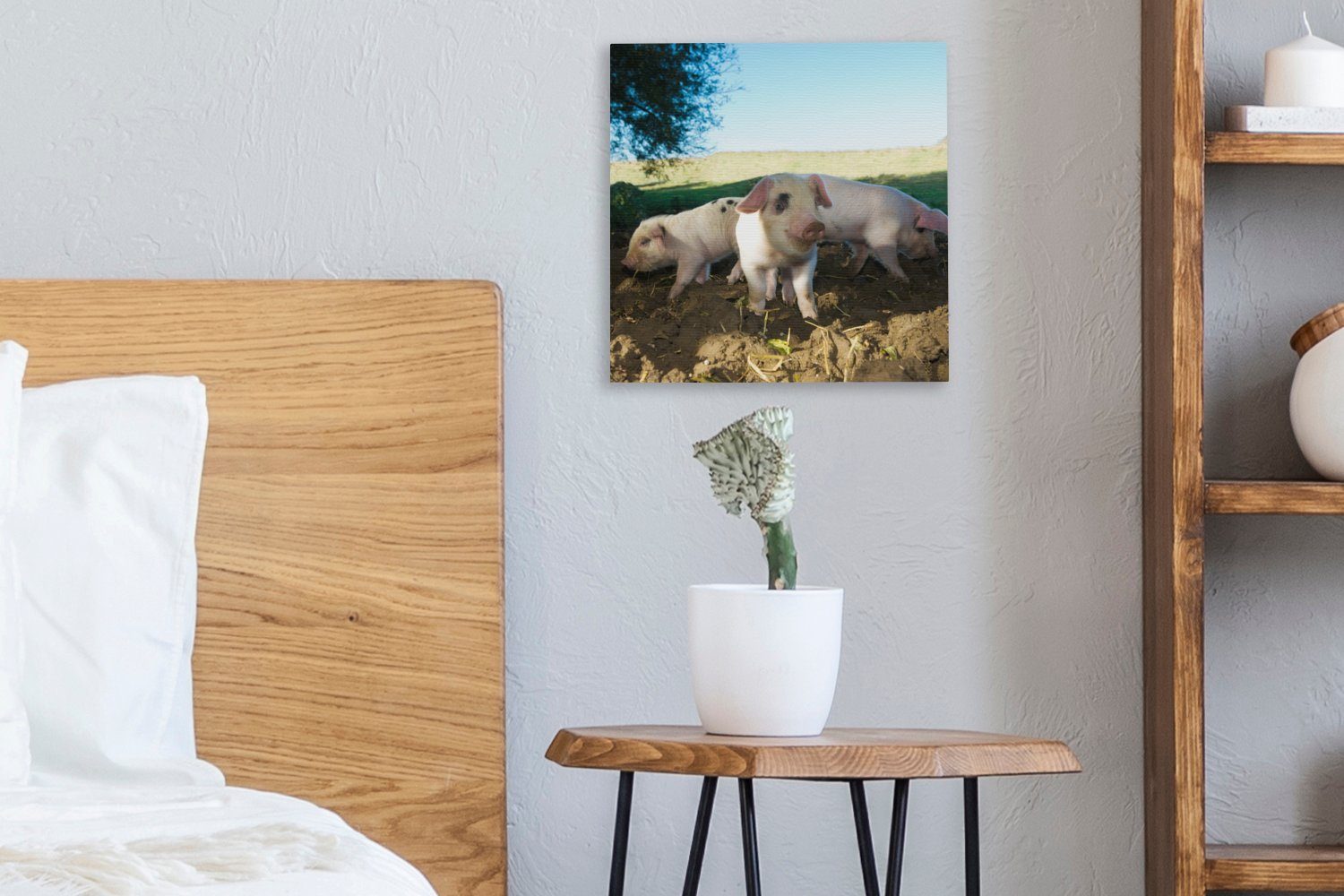 - - Leinwand Schweine Leinwandbild Tiere Schlafzimmer Bilder Landschaft, (1 OneMillionCanvasses® Wohnzimmer St), für
