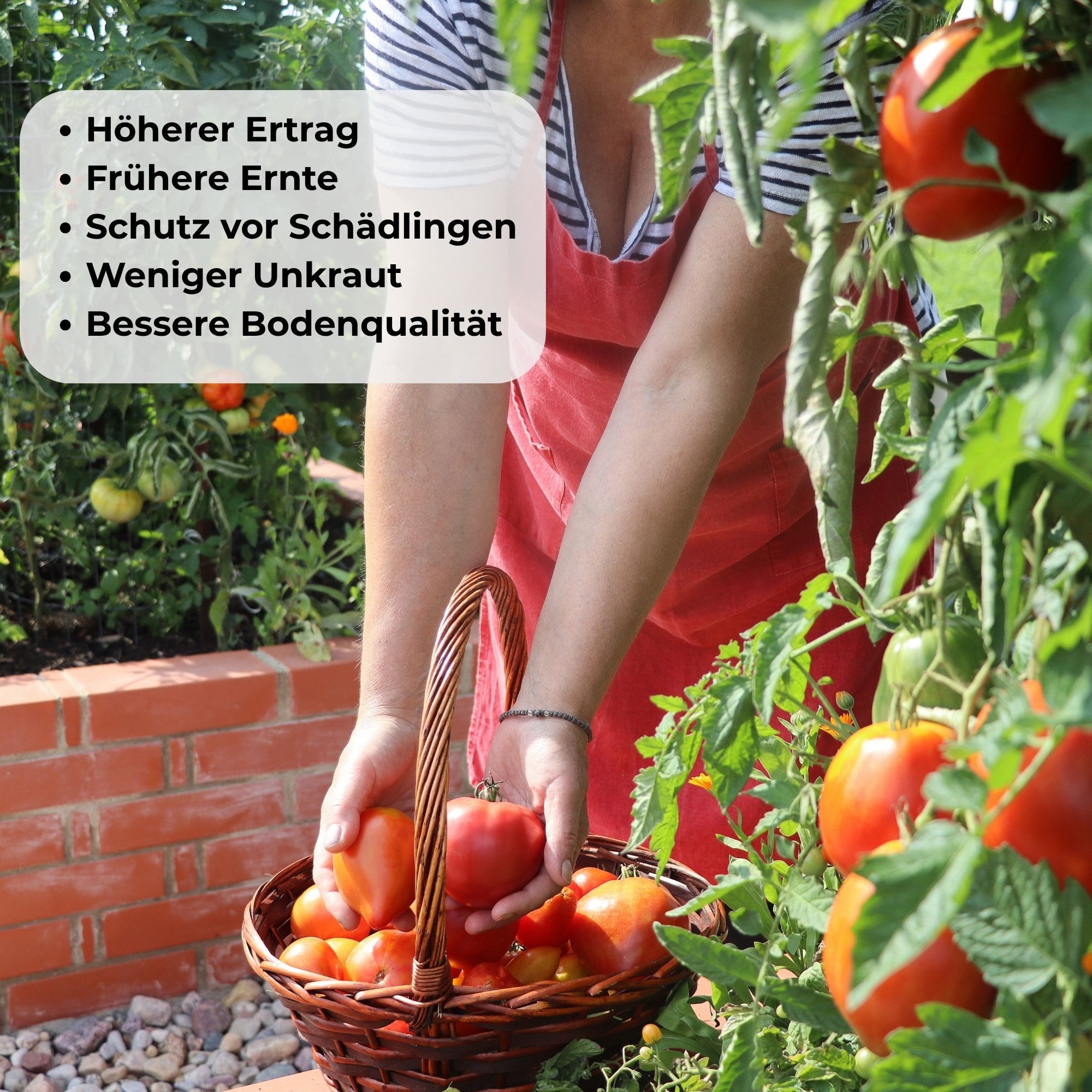 osoltus Hochbeet osoltus Hochbeet Gartenbeet Pflanzbeet halbrund aus Metall 105 x 60 x – Bild 4 von 5