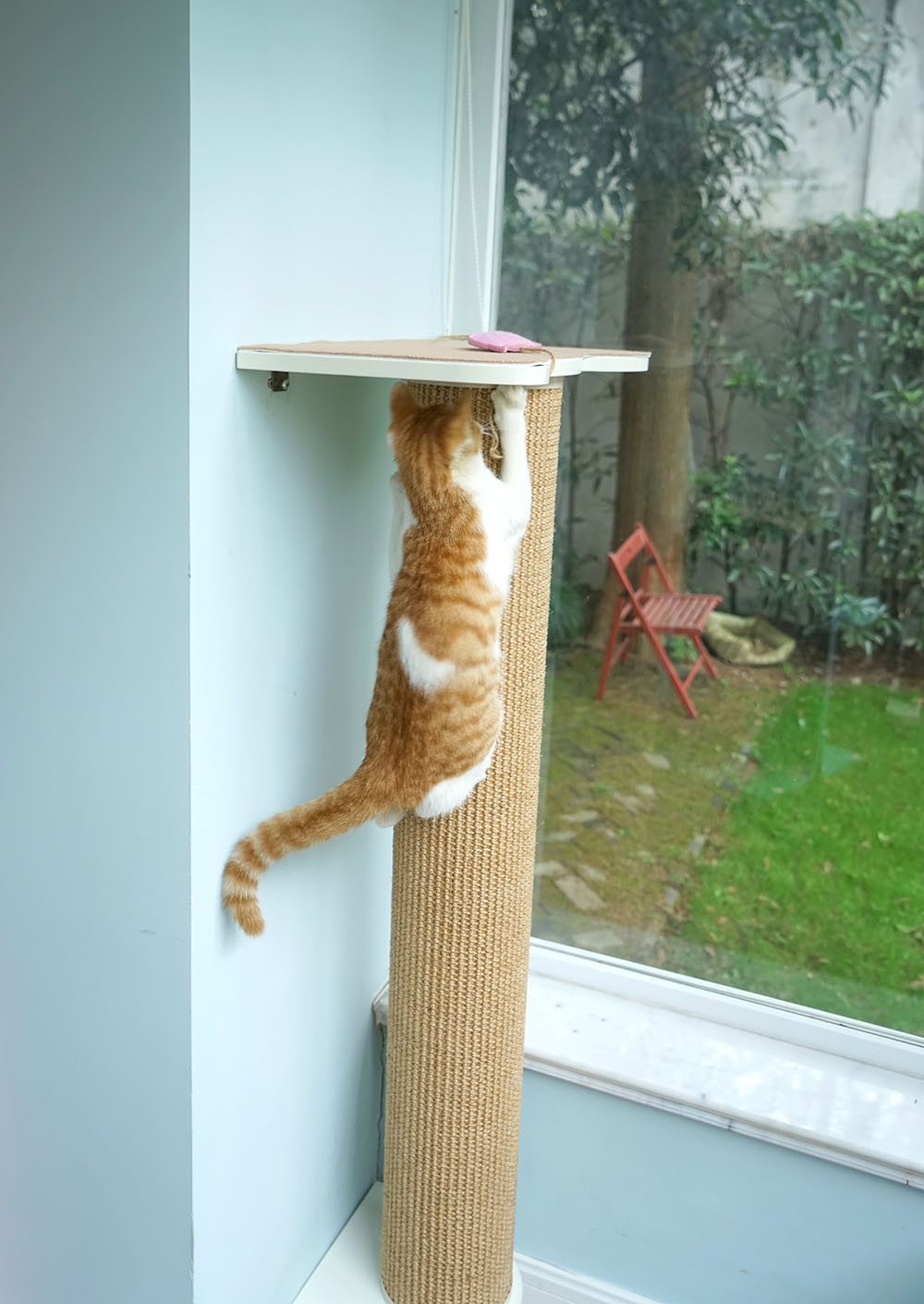 CatS Design Katzen-Wandregal CatS Design "Wandpark" Wandkratzsaeule F5 L 126cm, hochwertig solider holz Designmöbel-Extreme starke Konstruktion