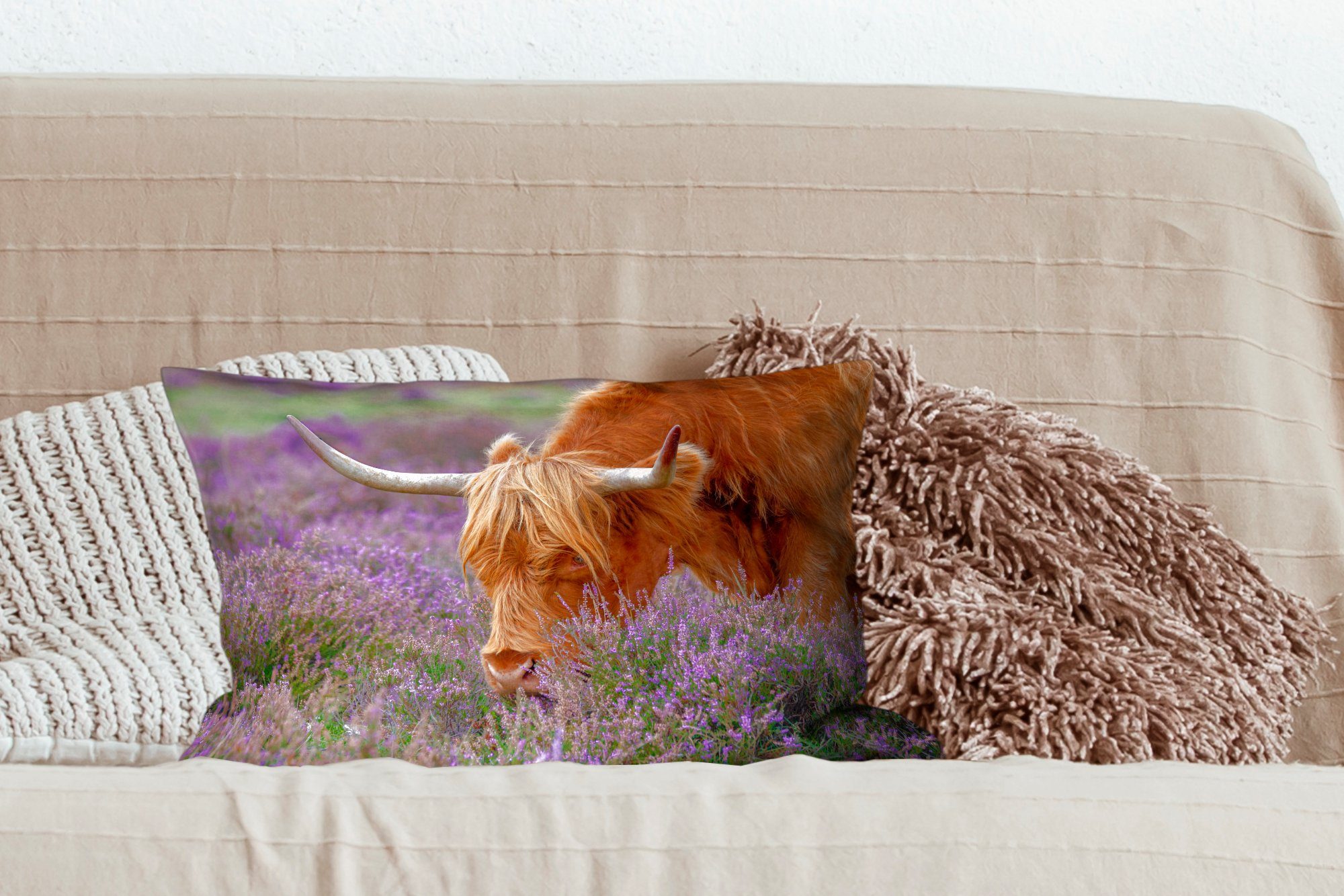 Dekokissen Dekokissen Hörner, Wohzimmer Zierkissen, Lavendel Highlander - Schottischer MuchoWow Füllung, Schlafzimmer Dekoration, mit -