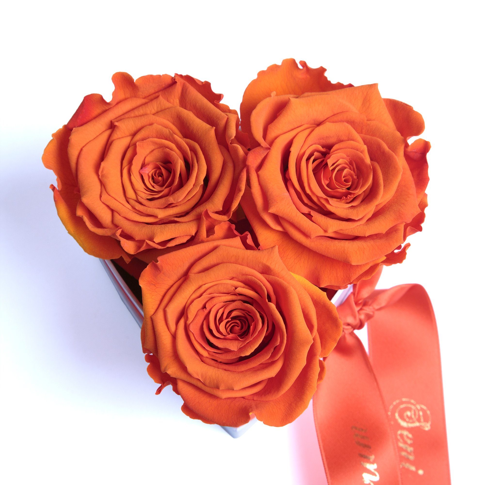 echte Rosenbox konserviert Infinity haltbar Kunstblume lang 3 Rose, cm, ROSEMARIE echte 10 Herz Seni Orange Rosen Rosen Heidelberg, Höhe SCHULZ Seviyorum