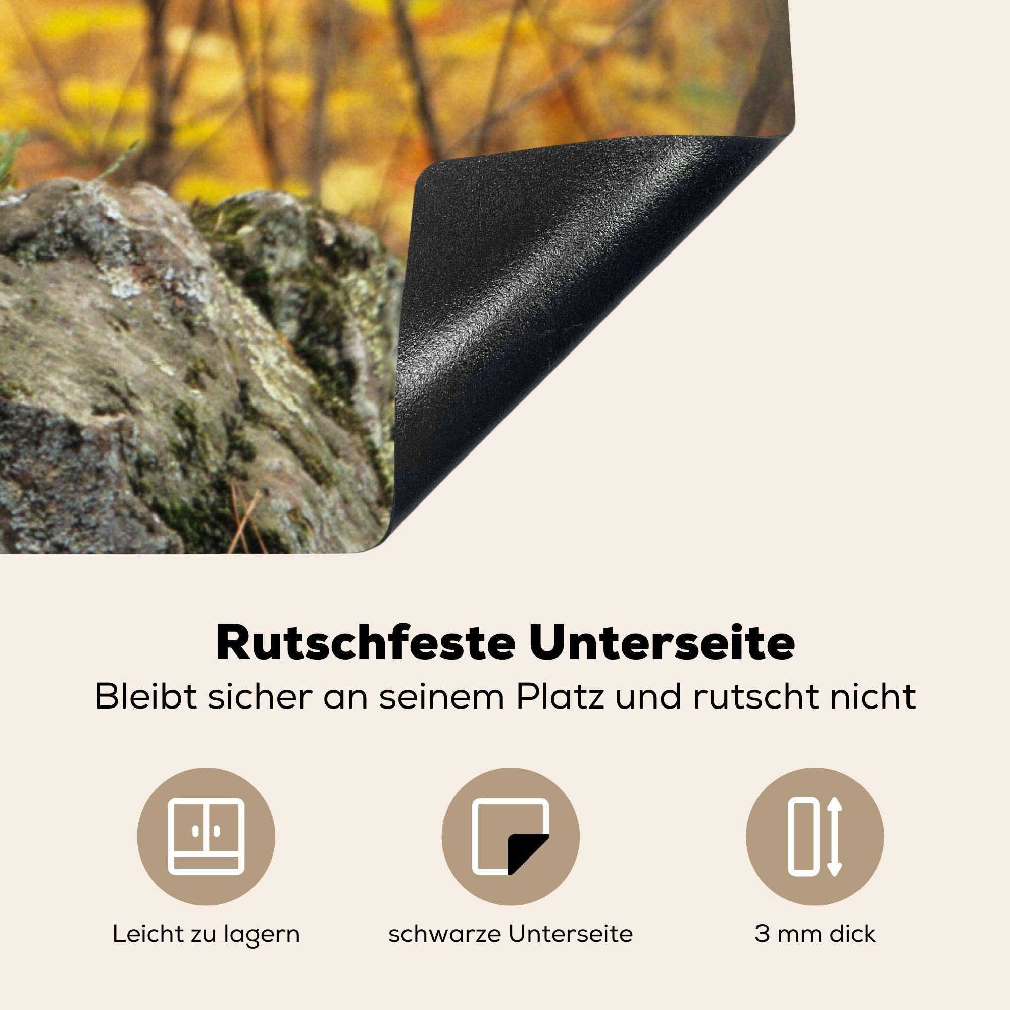 MuchoWow Herdblende-/Abdeckplatte Wolf Fels - (1 Ceranfeldabdeckung, Baum, Arbeitsplatte für Vinyl, 78x78 cm, - küche tlg)