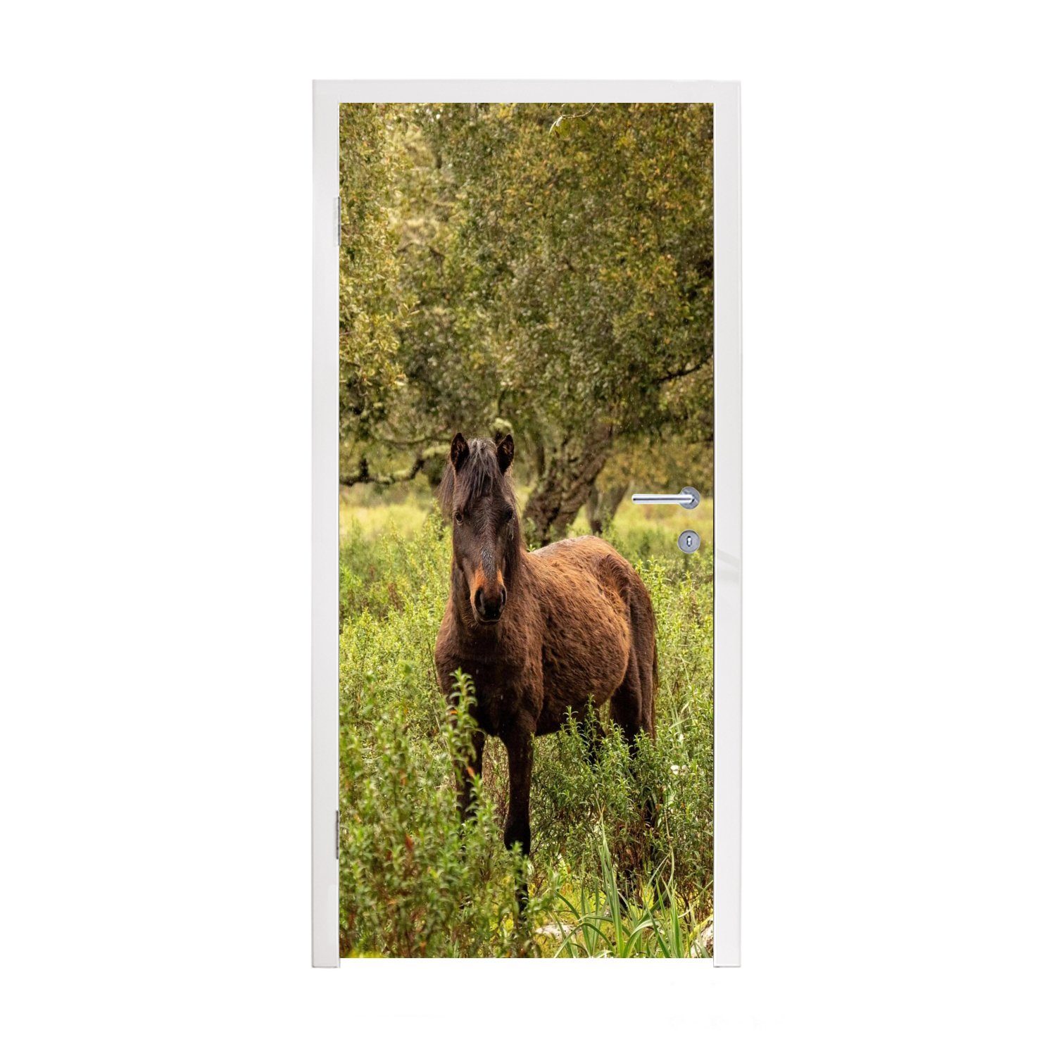 Fototapete Wald cm MuchoWow Matt, (1 - Pferd Türaufkleber, Türtapete - St), bedruckt, Gras, 75x205 für Tür,