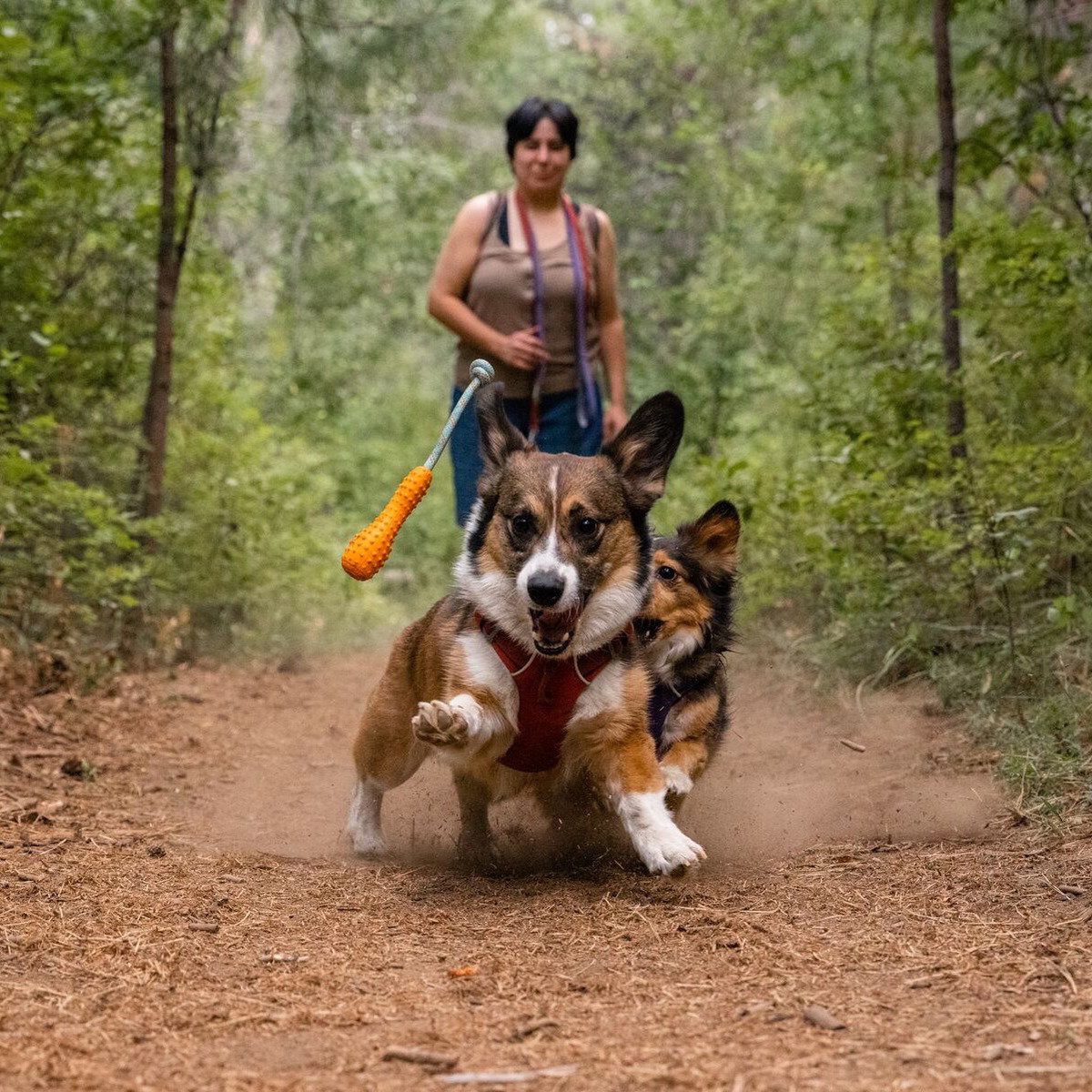 Ruffwear Spielknochen Hundespielzeug Gourdo Toy Campfire Orange