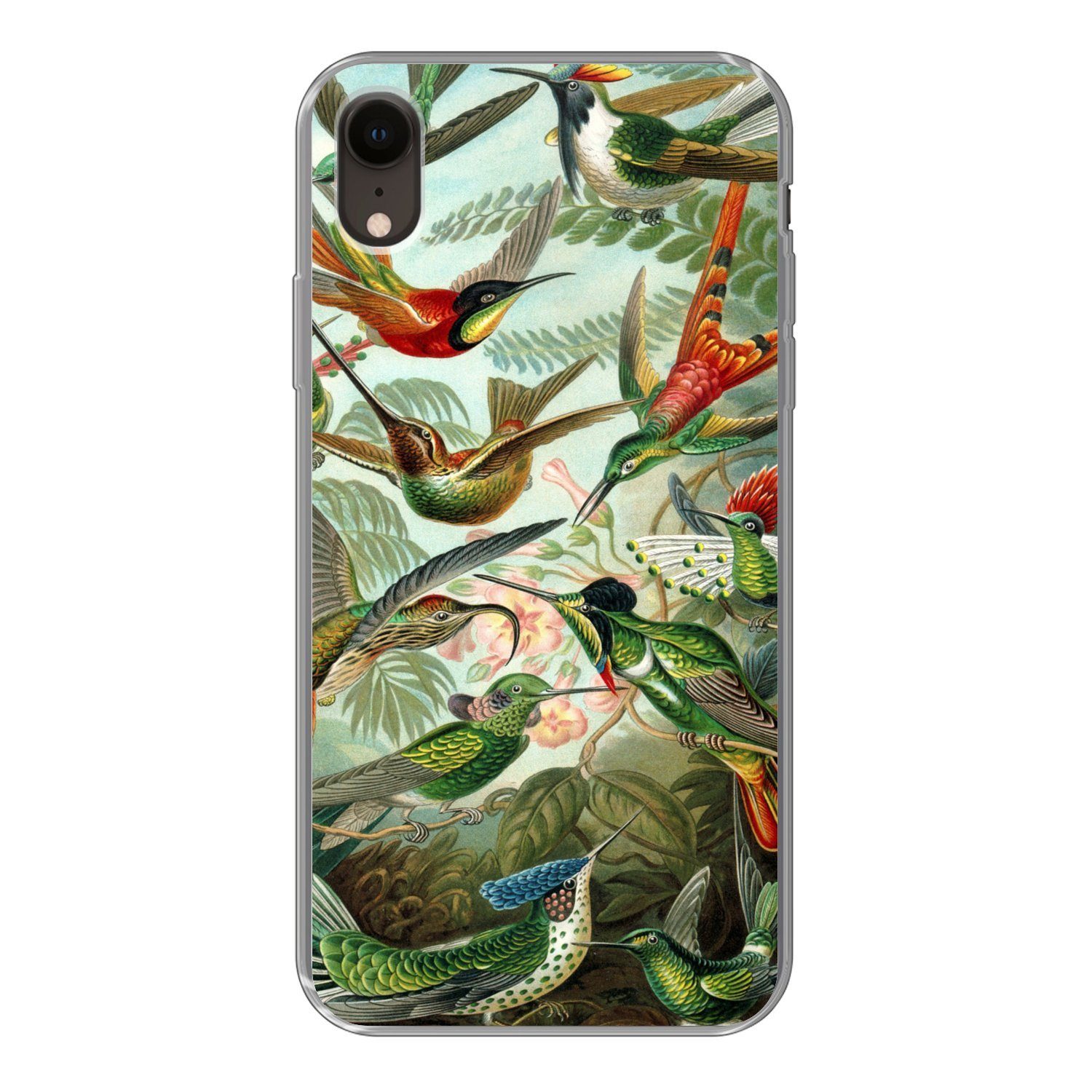 MuchoWow Handyhülle für Apple iPhone XR Trochilidae - Alte Meister - Kunst, Smartphone-Bumper, Print, Handy Schutzhülle Dünn