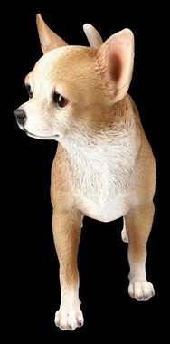 Figuren Shop GmbH Tierfigur Chihuahua Figur - Tierdeko Hunde Dekofigur