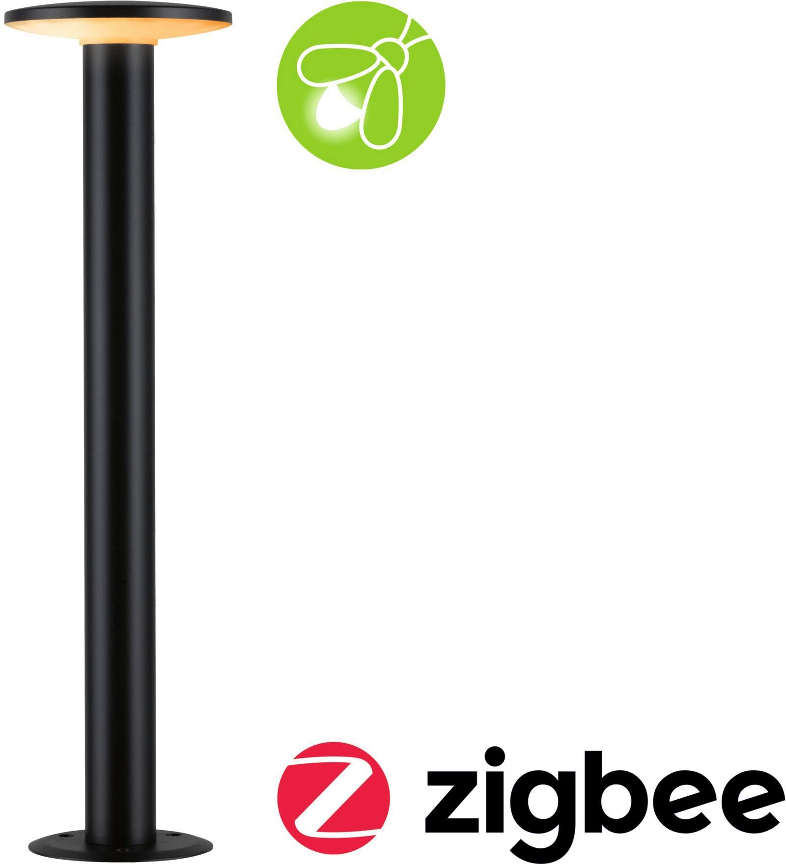 Paulmann LED Pollerleuchte Outdoor 230V Poller Plate insect friendly 2200-3000K IP44, LED fest integriert, Warmweiß, Insektenfreundlich