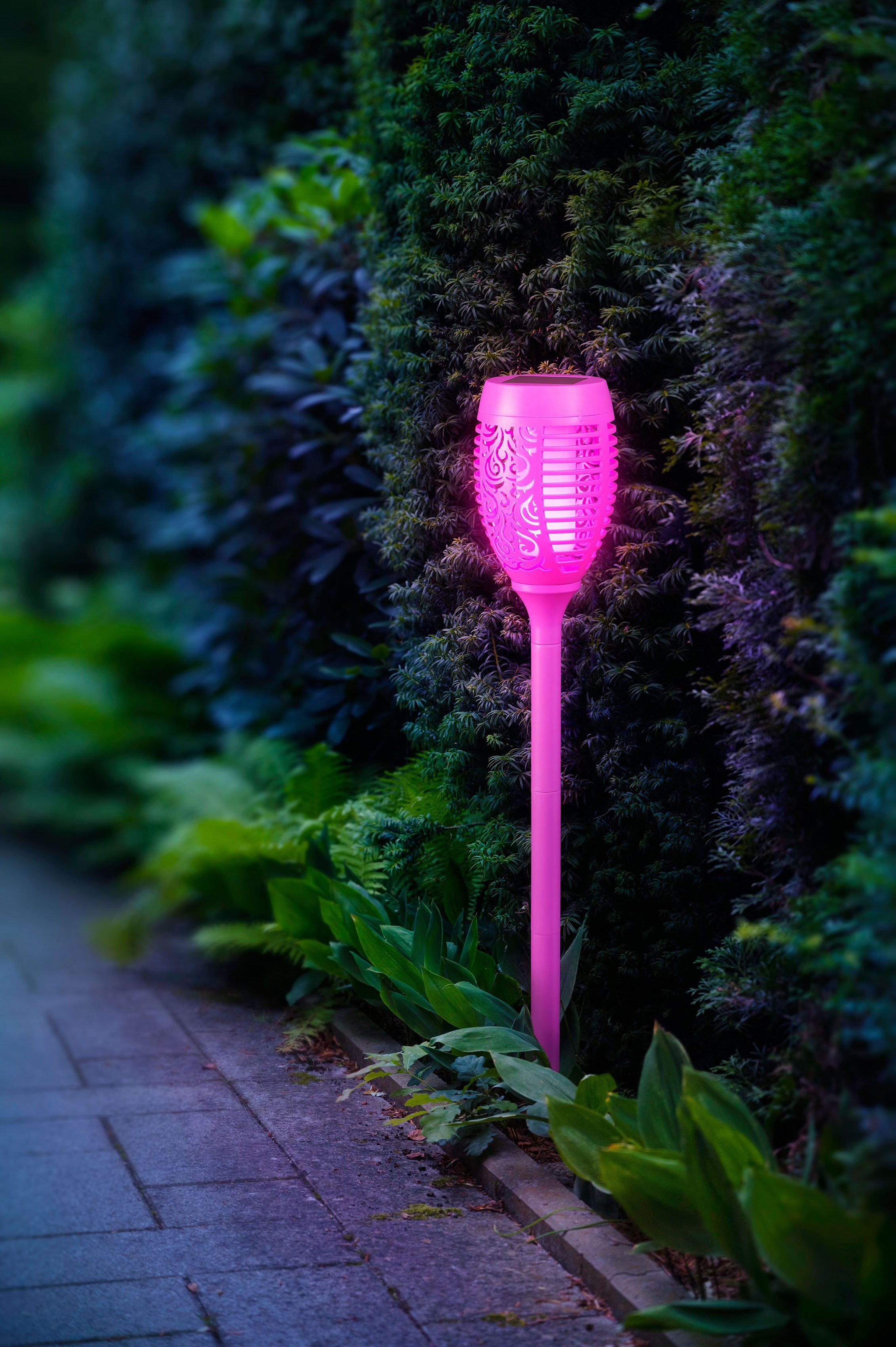 Set BONETTI Flamme Solar realer fest LED integriert, LED Tageslichtsensor, lila Gartenfackel mit LED Gartenfackel, 3er