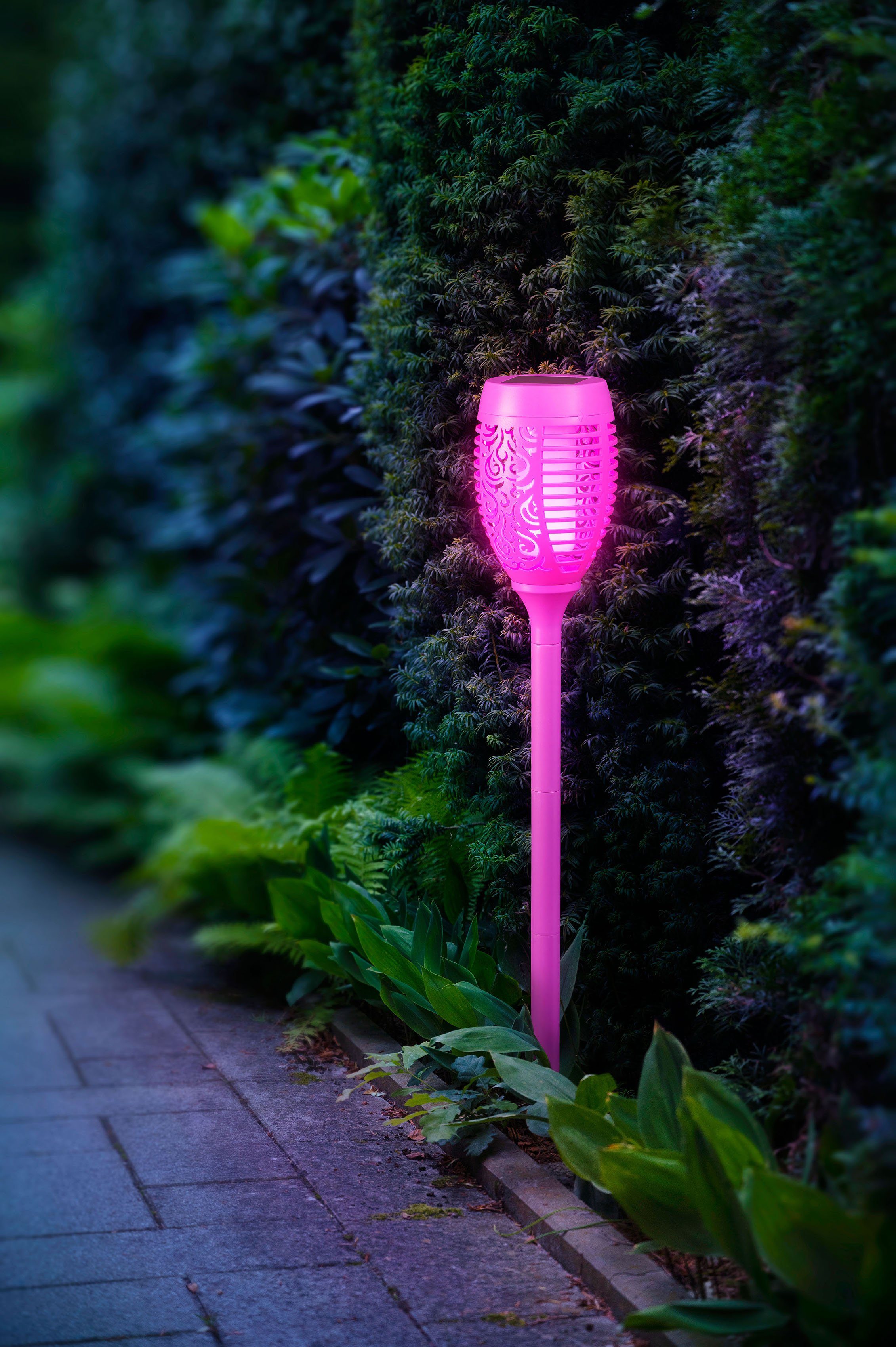 BONETTI LED Gartenfackel, Tageslichtsensor, LED fest integriert, LED Solar  Gartenfackel lila mit realer Flamme 3er Set