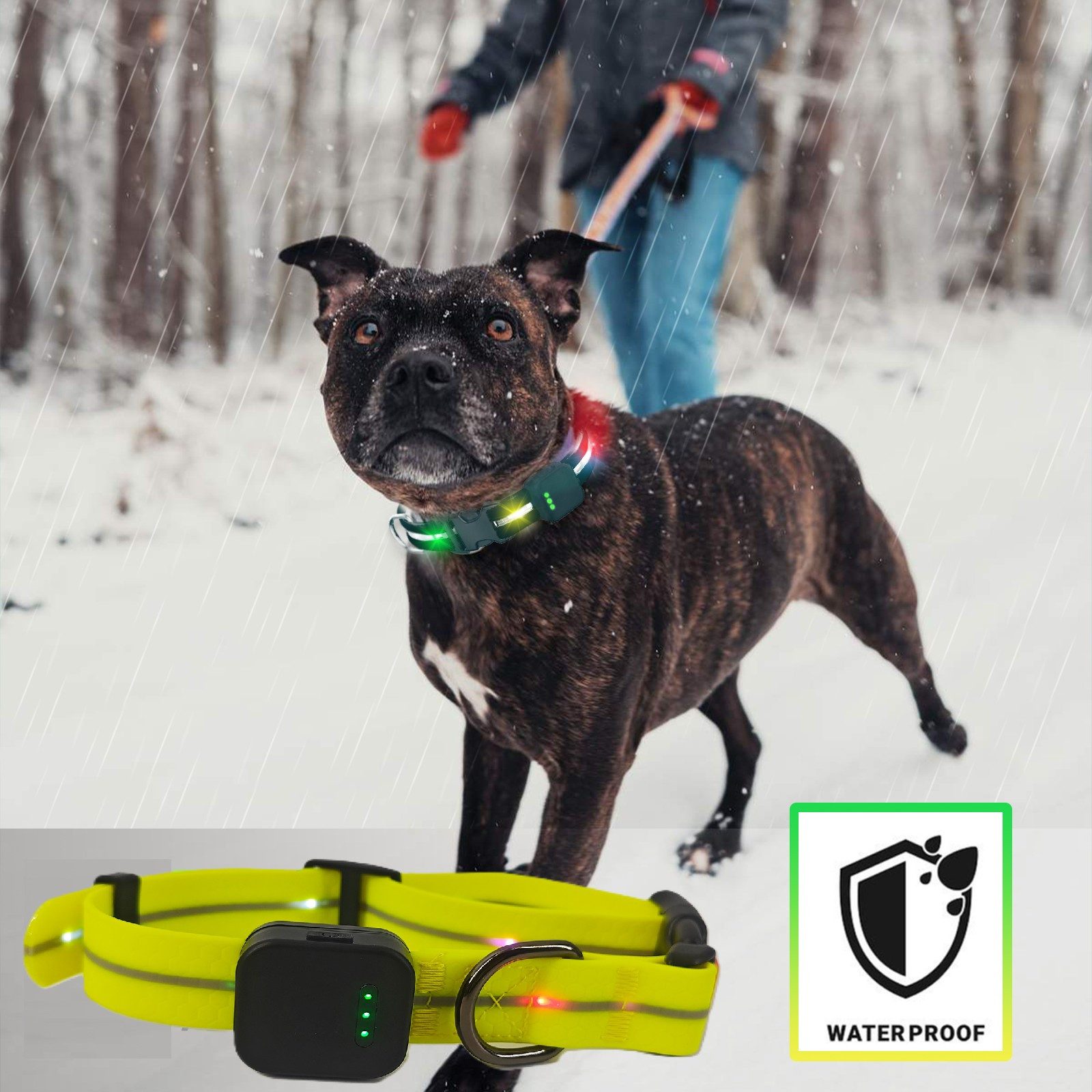 Illes-Laedchen Hunde-Halsband exklusives LED Hundehalsband wasserdicht AKKU wiederaufladbar