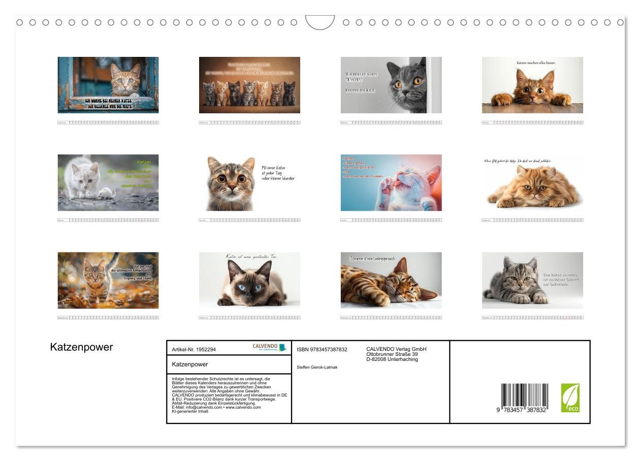 Thumbnail - CALVENDO Wandkalender Katzenpower (Wandkalender 2026 DIN A3 quer), CALVENDO Monatskalender