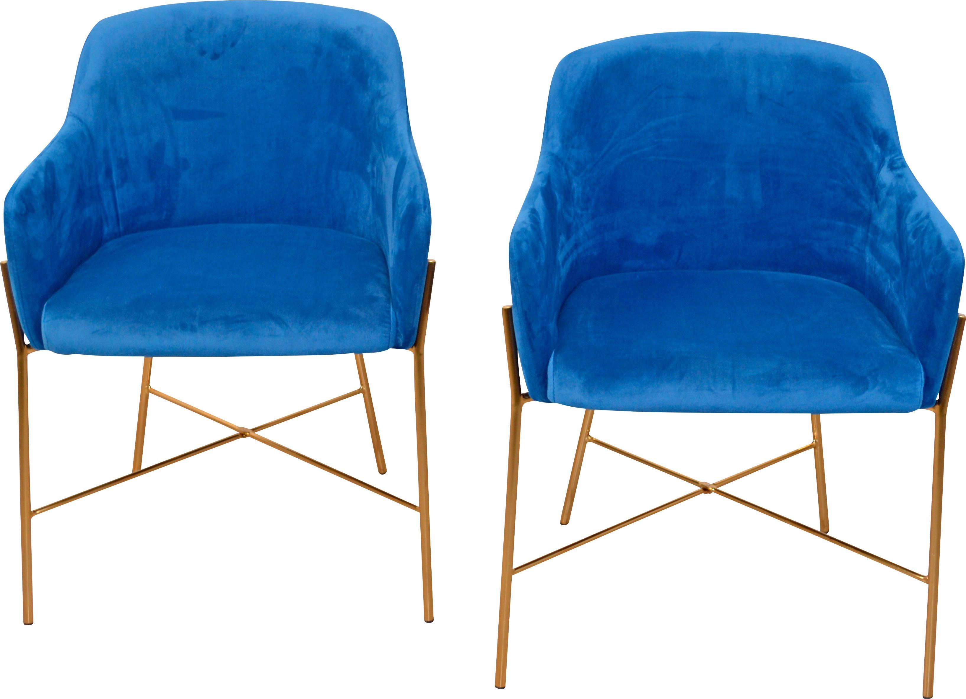 hochwertig und günstig INOSIGN Polsterstuhl blau goldfarben, St), blau mit Polstersessel aus 2 Stahlrohr, | (Set, Samtbezug Gestell