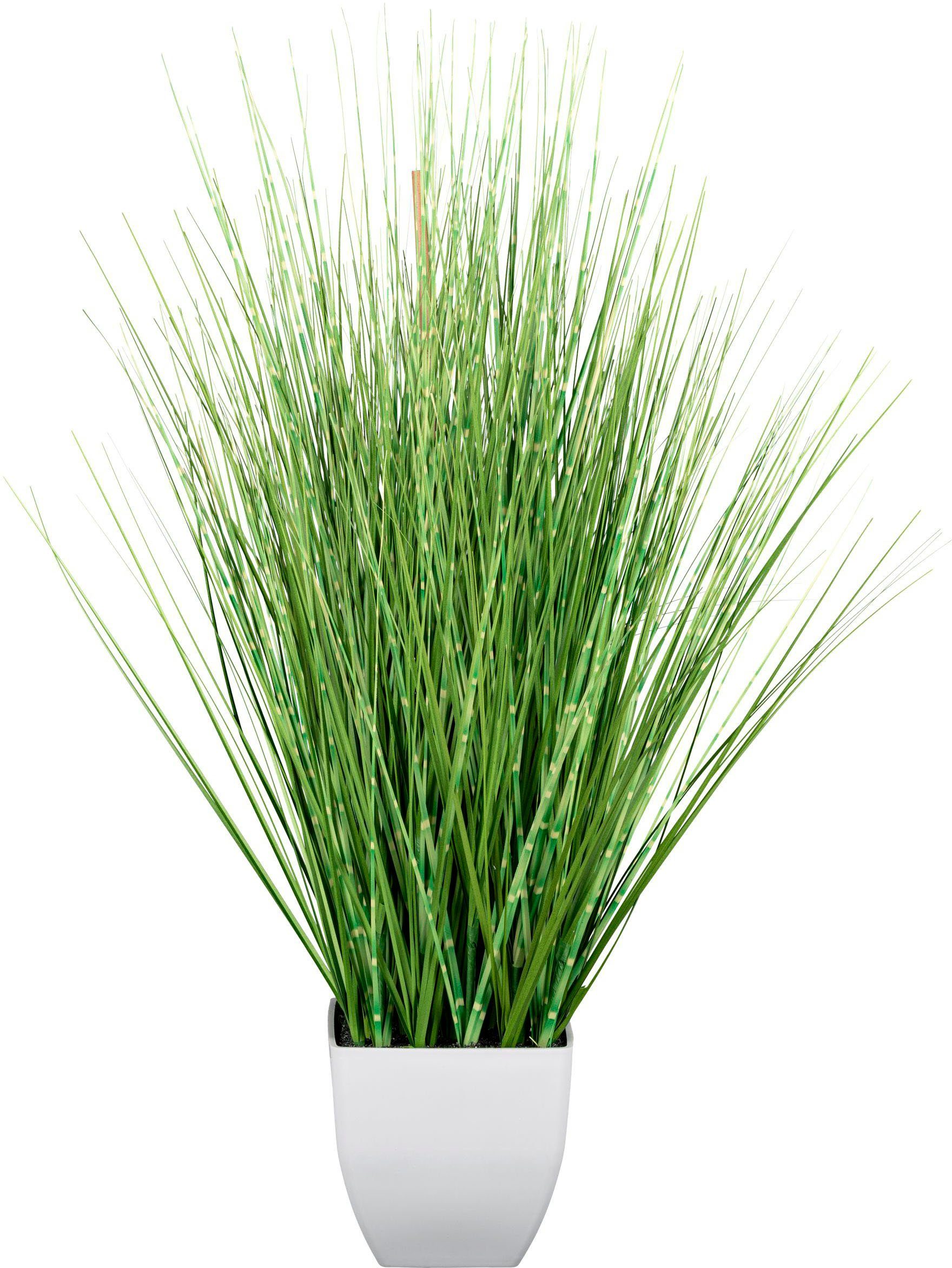 Kunstgras Grasbusch Gras, Creativ green, Höhe 77 cm, im weißen Topf günstig online kaufen