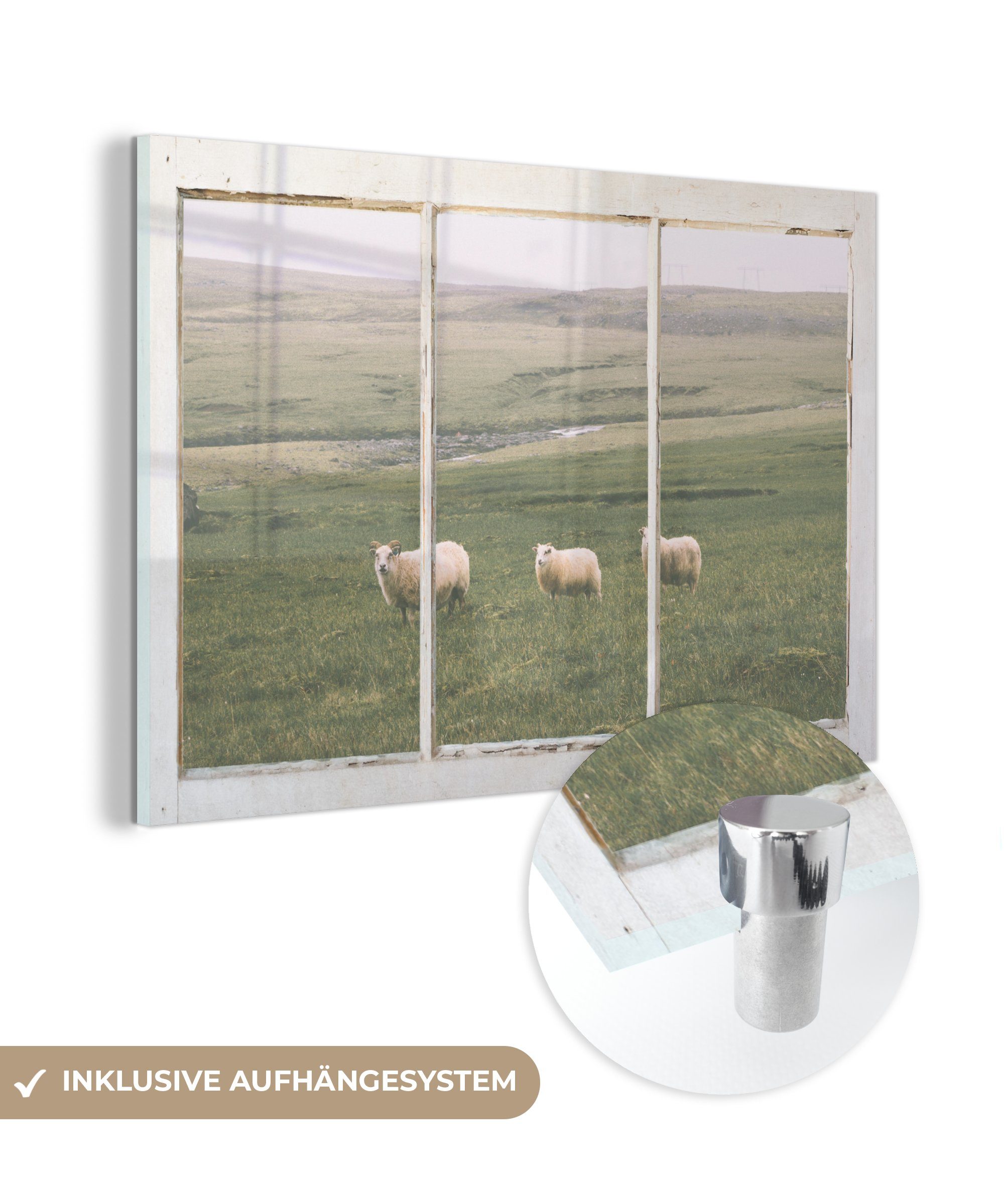 - - Glas Gras, Schafe MuchoWow Durchschauen Glasbilder auf Foto - Wandbild Glas Bilder Wanddekoration auf Acrylglasbild - St), - (1