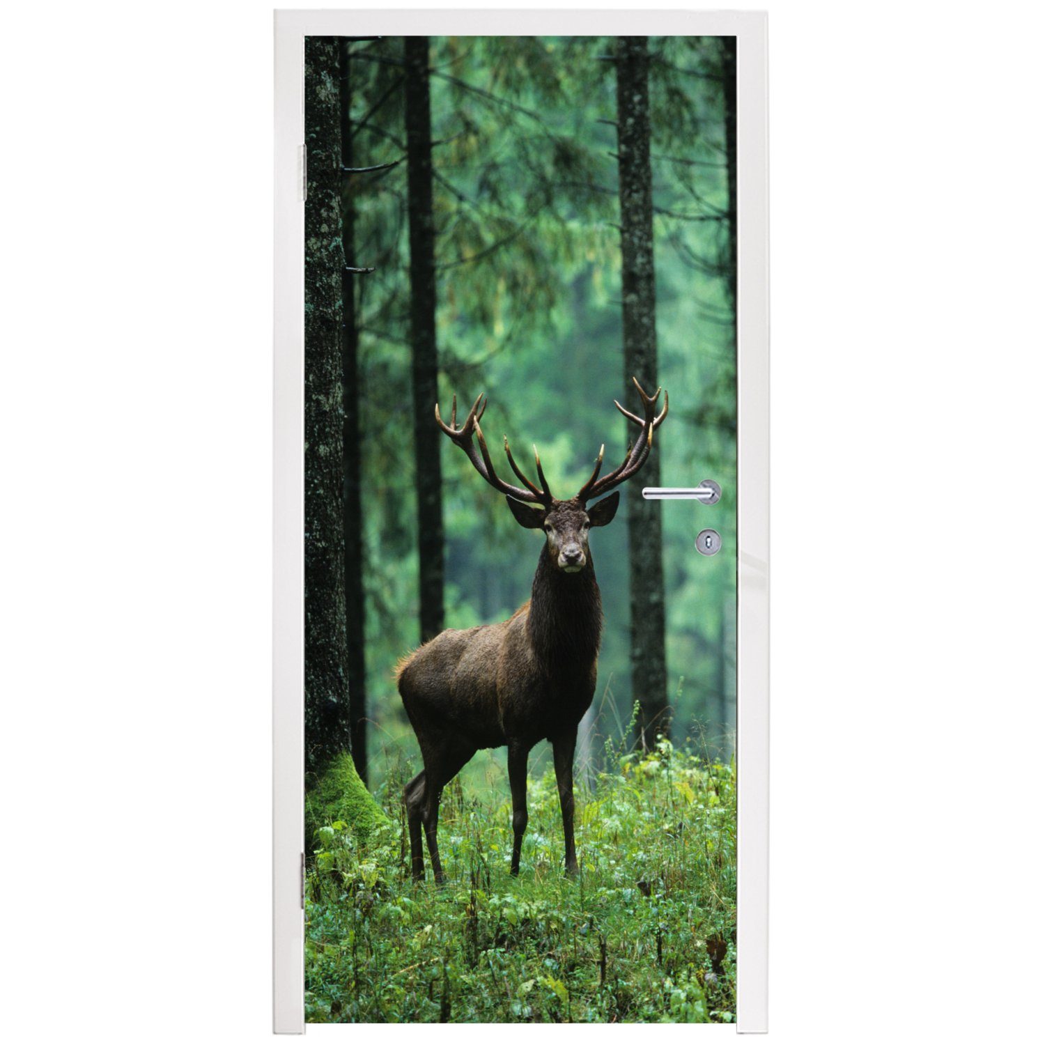 Bäume Matt, - Tür, - Fototapete MuchoWow bedruckt, Hirsche Wald Natur, für cm - 75x205 (1 - Tiere St), Türaufkleber, Türtapete