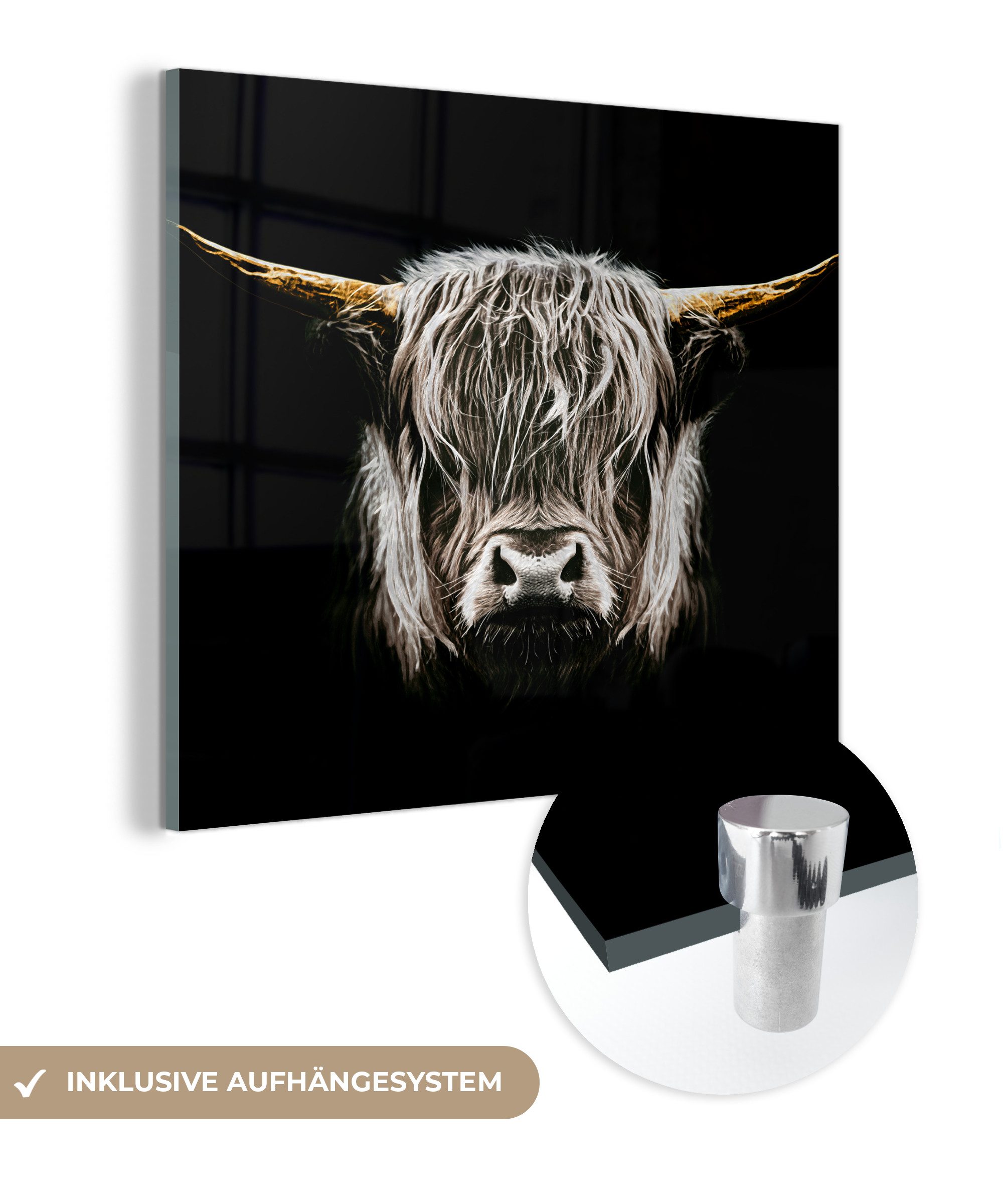 MuchoWow Acrylglasbild Schottischer Highlander - Gold günstig online kaufen