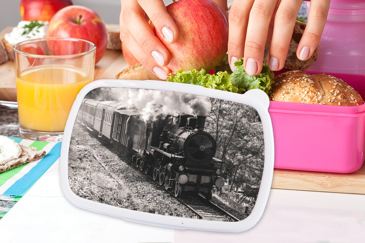 Snackbox, einer Erwachsene, (2-tlg), Schwarz-Weiß-Foto für Brotbox rosa Kunststoff Mädchen, der Lunchbox Dampflokomotive Kinder, Brotdose Kunststoff, inmitten MuchoWow Wiesen,