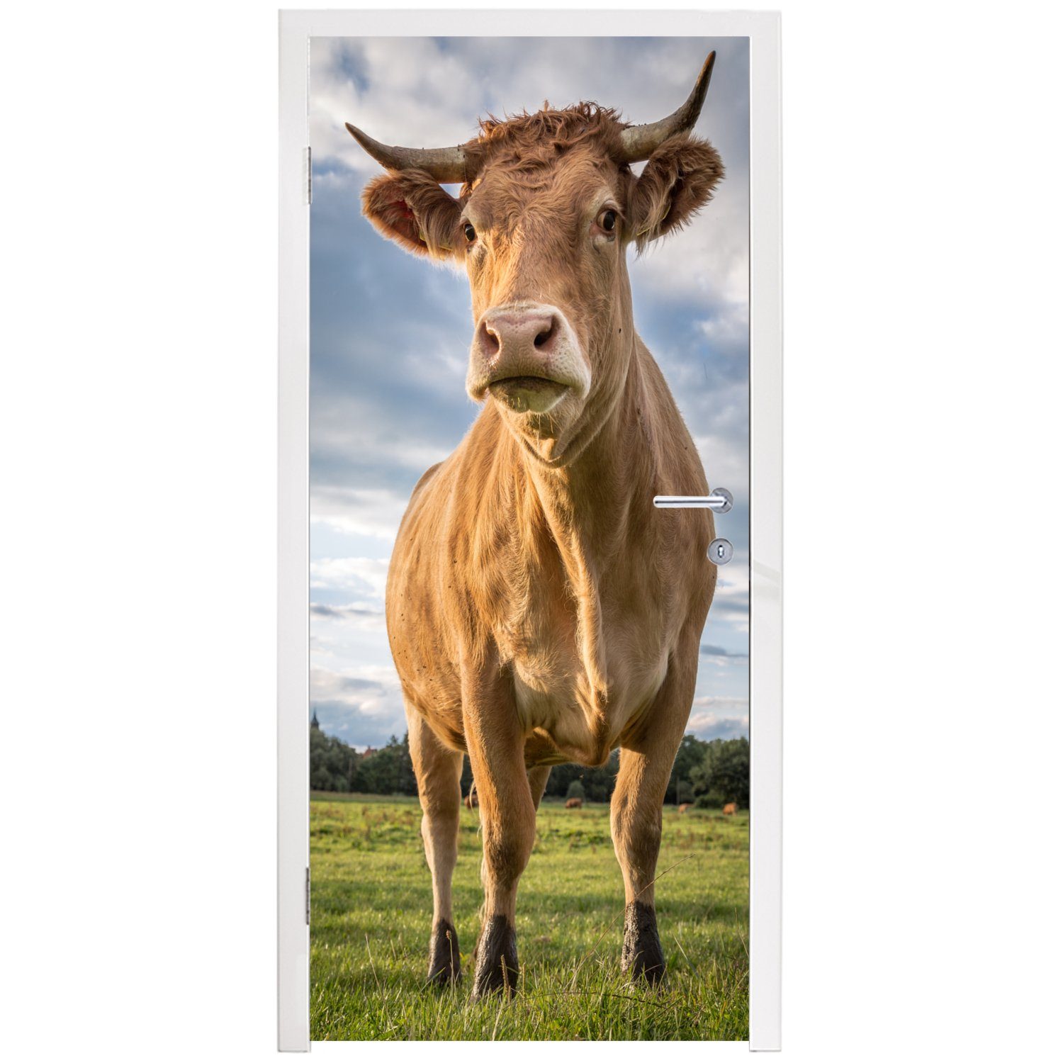 (1 St), MuchoWow - Fototapete Natur, Kuh Türtapete für 75x205 cm Braun - bedruckt, Türaufkleber, Tür, Matt,