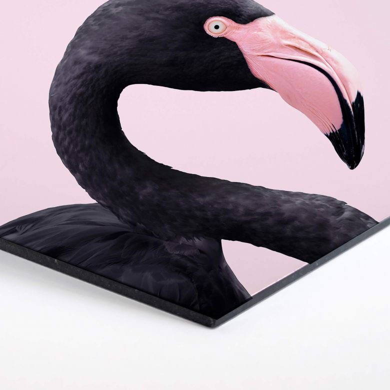 Black Flamingo (1 Metallbild Wall-Art Hexagon, Rosa St) Pink