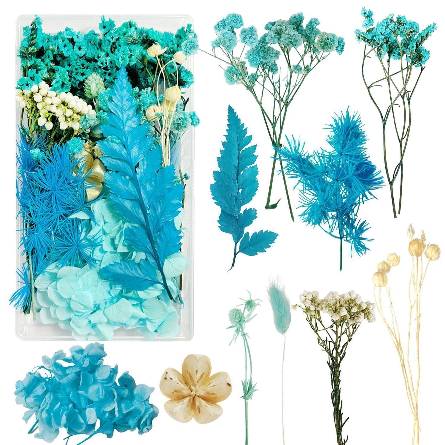 Trockenblume Trockenblumen Klein Bunt zum Basteln, LuxusKollektion, Höhe 1 cm