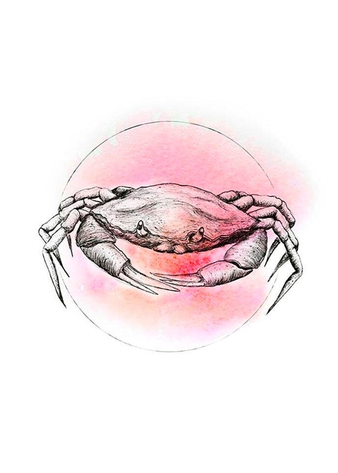 Komar Poster Crab Watercolor, (1 Wohnzimmer Tiere St), Schlafzimmer, Kinderzimmer