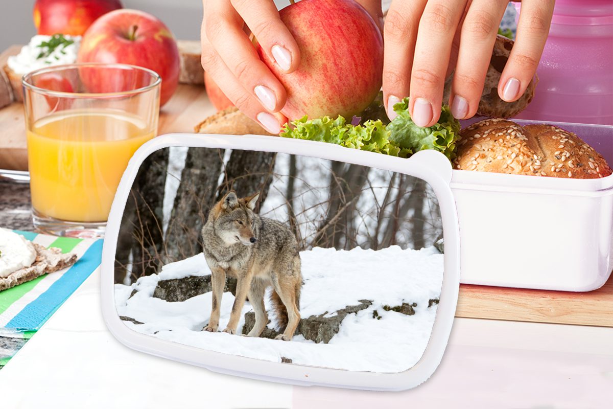 - für Schnee - Kinder weiß für Erwachsene, Brotbox und Brotdose, Mädchen Wolf Kunststoff, MuchoWow Jungs Wald, und (2-tlg), Lunchbox