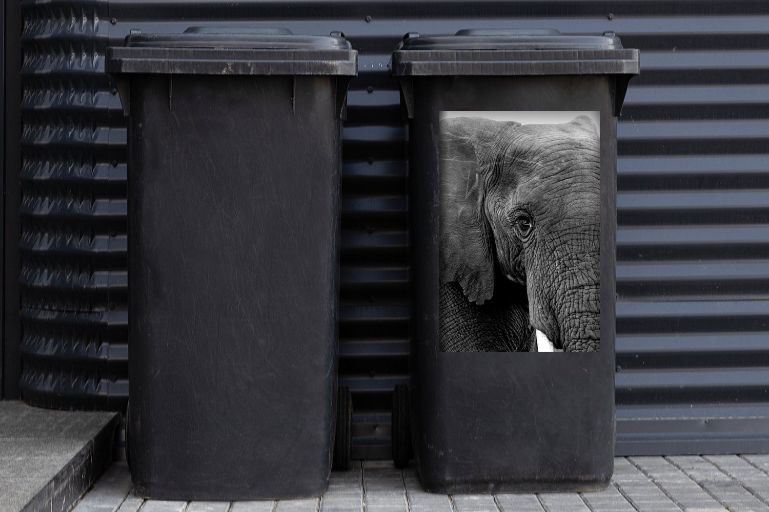 Abfalbehälter Schwarz - - Weiß - Wandsticker MuchoWow (1 Tiere Container, Natur Sticker, St), Mülltonne, - Mülleimer-aufkleber, Elefant