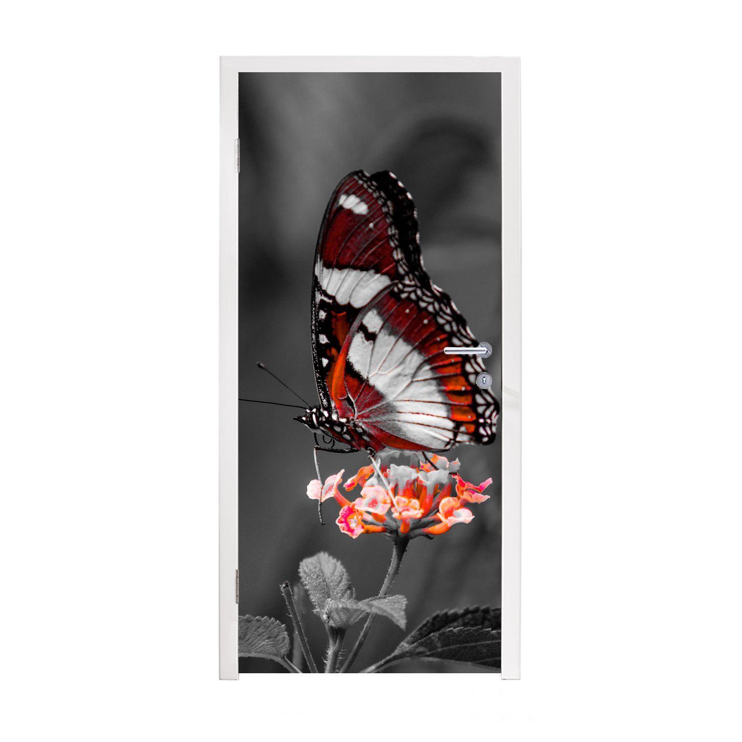 75x205 Türaufkleber, - und Tiere bedruckt, - Matt, St), MuchoWow Schmetterling - weiß Blumen cm Fototapete Orange, - Schwarz für Türtapete (1 Tür,
