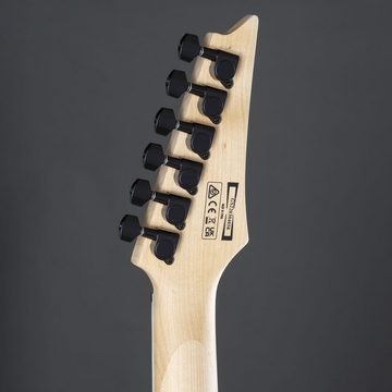 Ibanez E-Gitarre, Gio GRGR221PA-AQB Aqua Burst - E-Gitarre