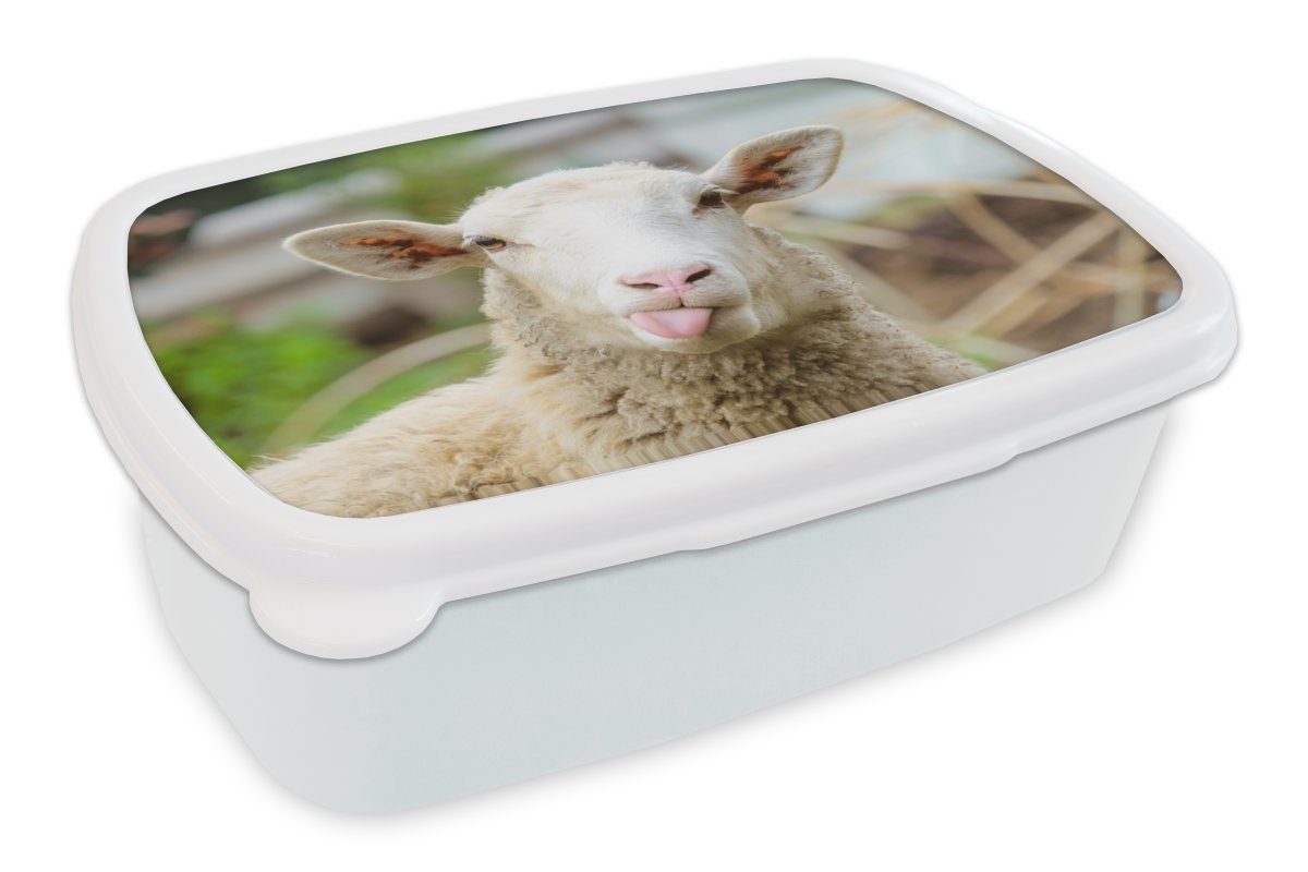 MuchoWow Lunchbox Schafe - (2-tlg), und für Wolle, Mädchen weiß Erwachsene, Jungs Brotbox Kinder für Kunststoff, - und Brotdose, Tiere