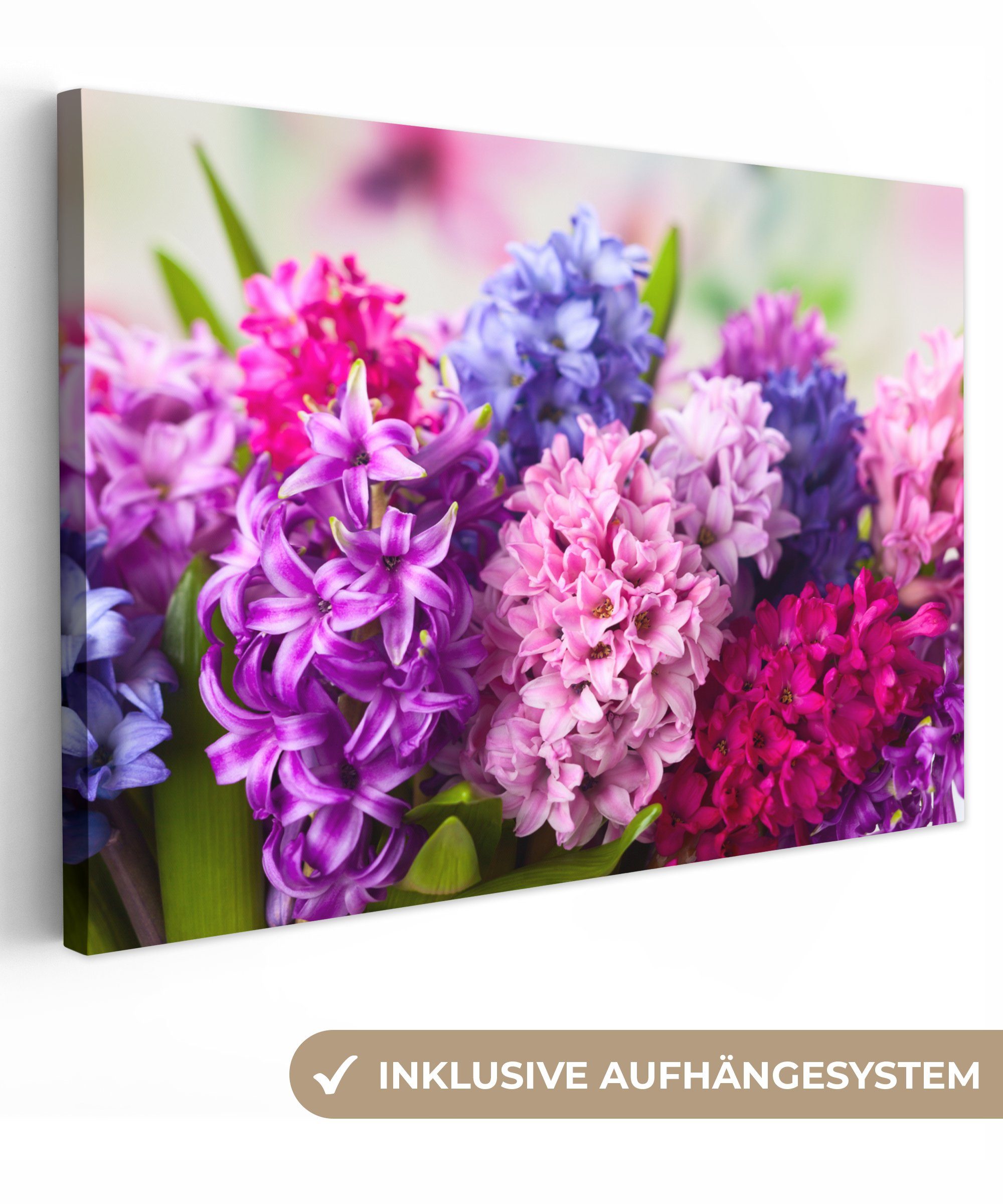 Blumen Pflanzen, Wanddeko, cm - OneMillionCanvasses® - Leinwandbilder, Hyazinthe Wandbild (1 30x20 Aufhängefertig, St), Leinwandbild