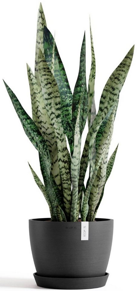 Thumbnail - ECOPOTS Blumentopf Stockholm 24 Dunkelgrau, für innen und außen: frostsicher, bruchsicher und lichtbeständig