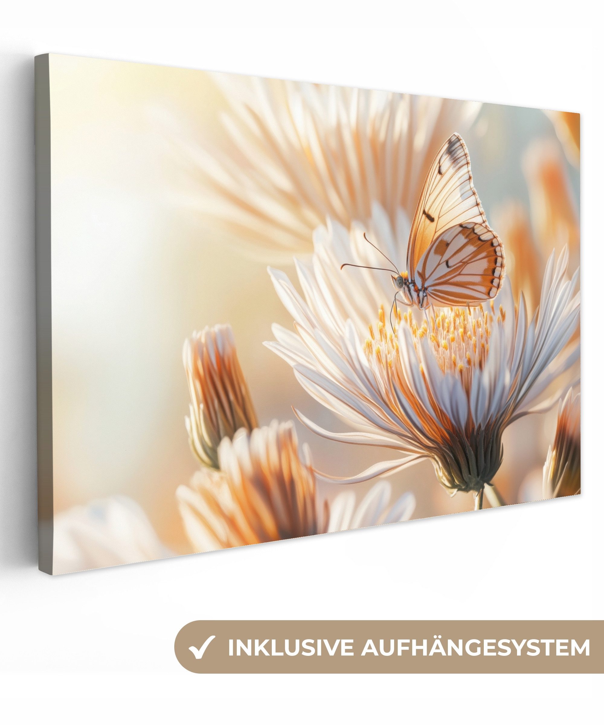 OneMillionCanvasses® Leinwandbild Schmetterling - Blume - günstig online kaufen