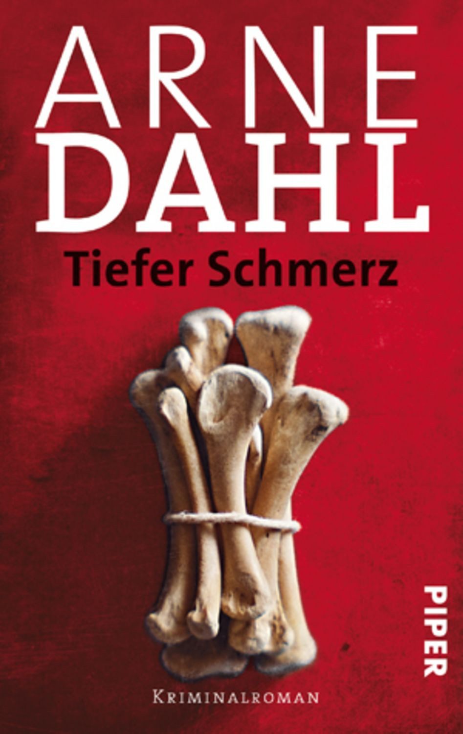Tiefer Schmerz / A-Gruppe Band 4 / Arne Dahl