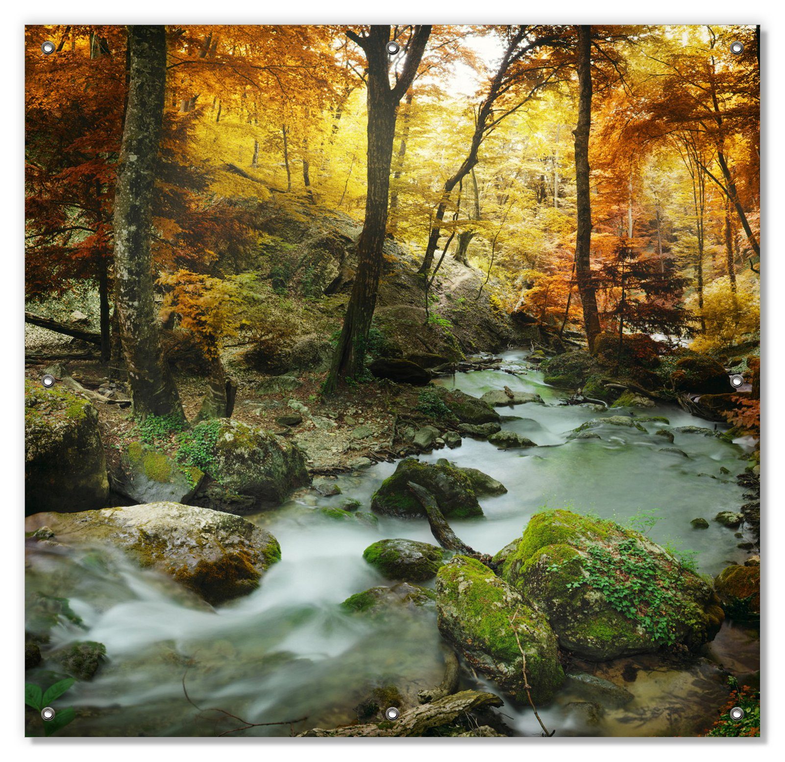 Wallario, Wasserfall und mit wiederverwendbar wiederablösbar Herbstwald, Steinen im blickdicht, moosbedeckten Sonnenschutz Saugnäpfen, mit