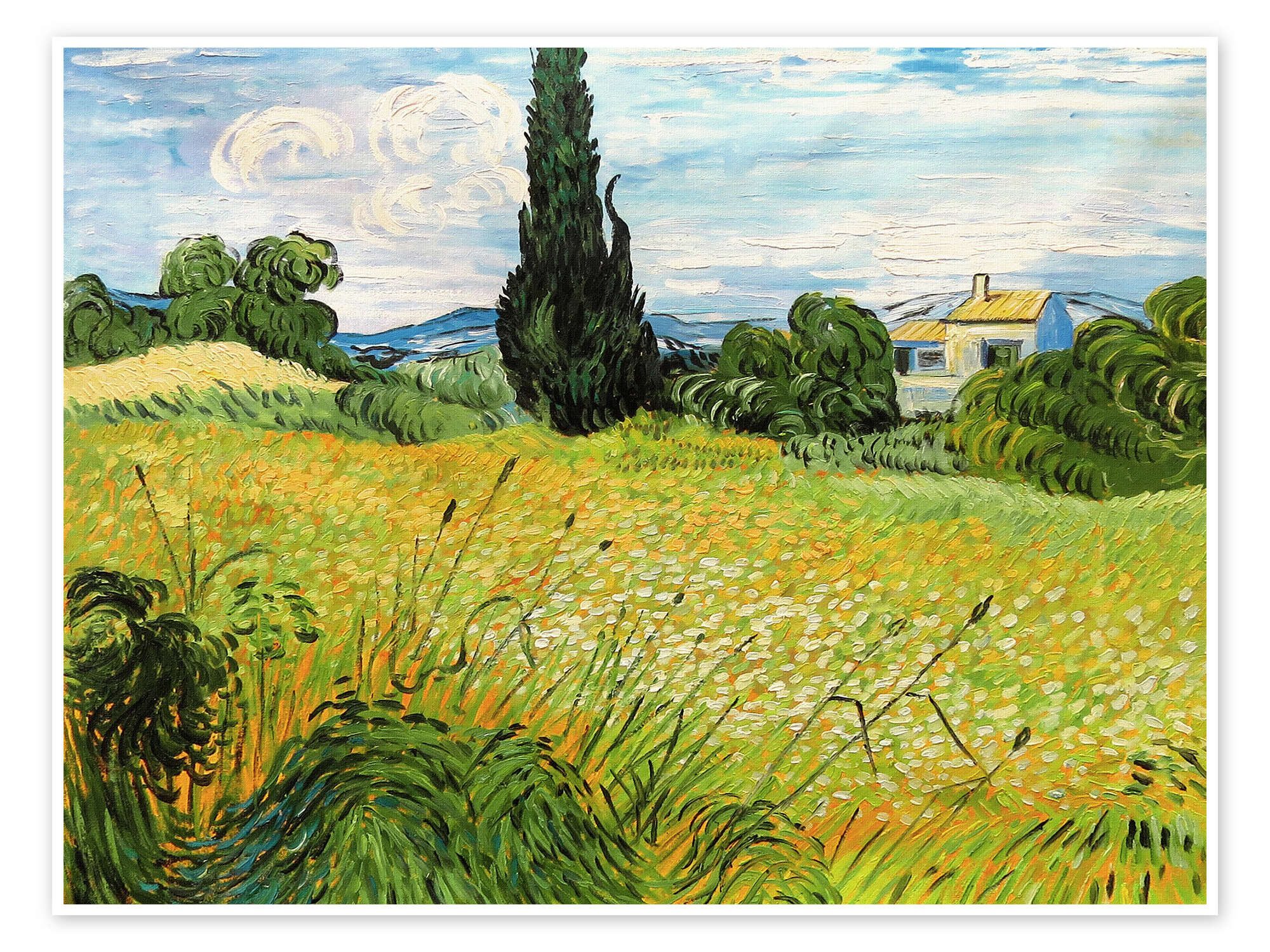 Posterlounge Wandbild Grünes Weizenfeld mit Zypresse, Vincent van Gogh, erhältlich als Poster, Leinwandbild, Wandsticker oder Acrylglasbild